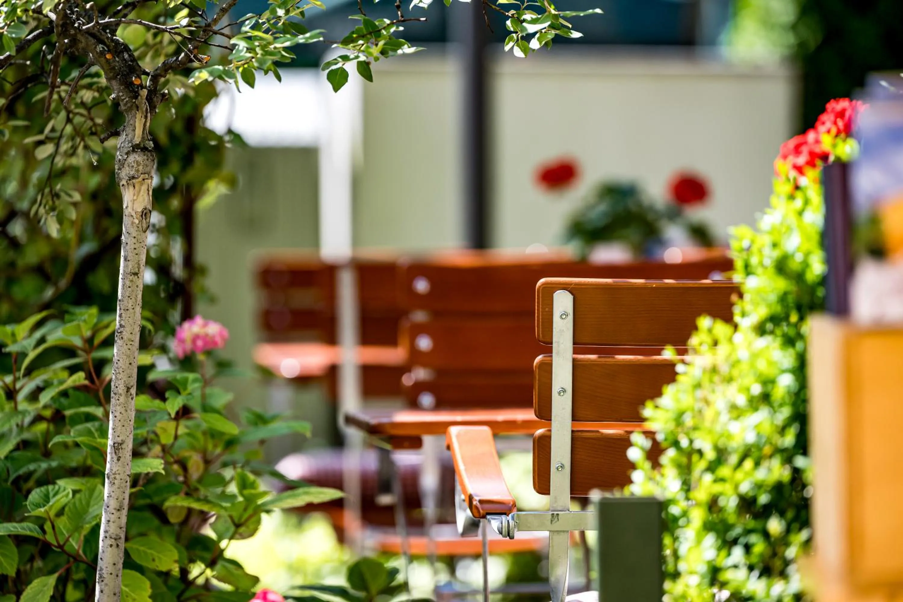 Garden in Ruhpoldinger Hof - Hotel & Wellness
