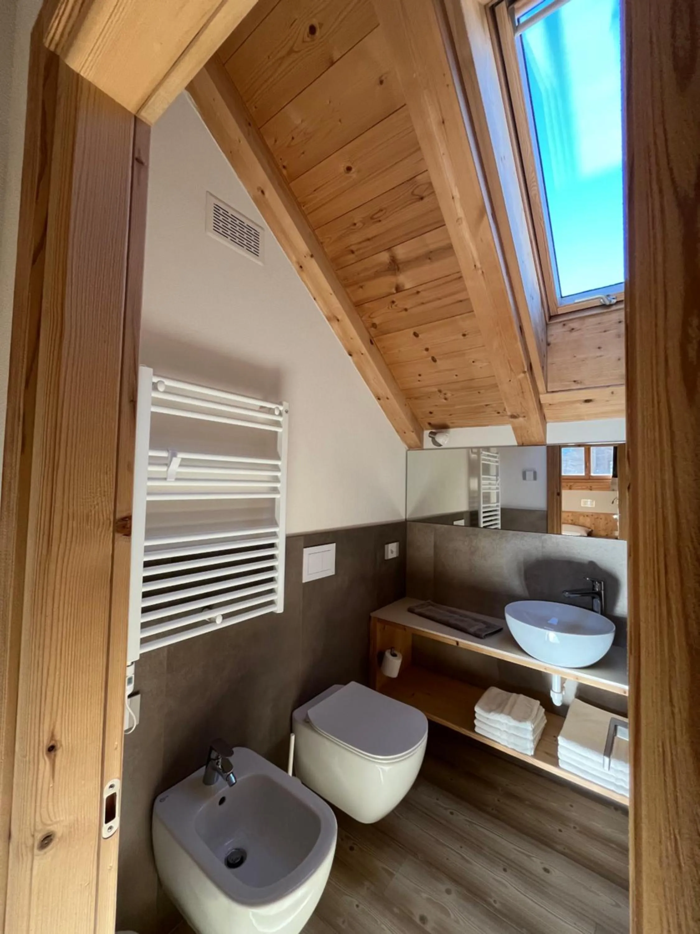 Chalet Shany