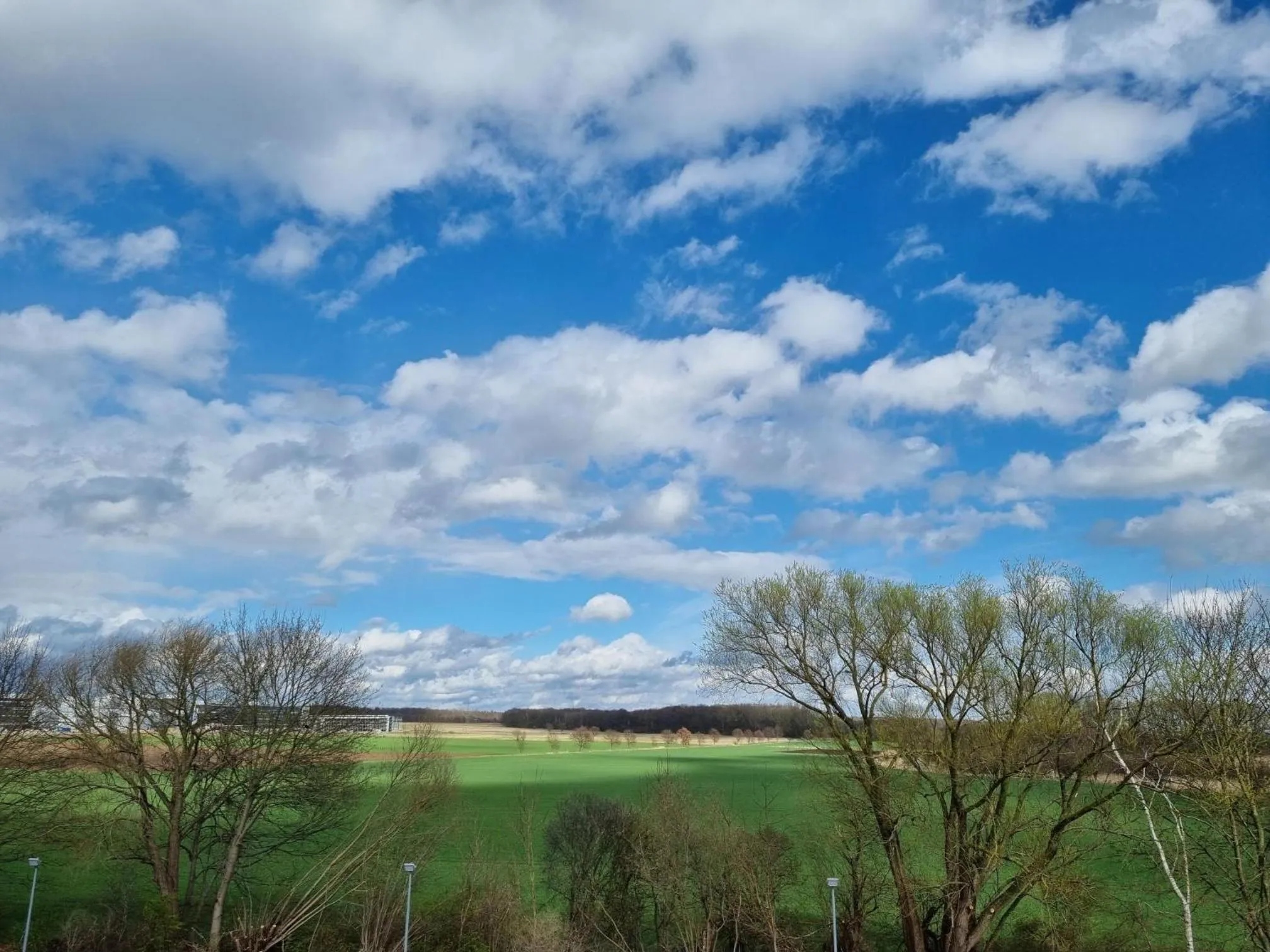 View (from property/room) in Erbenholz Hotel