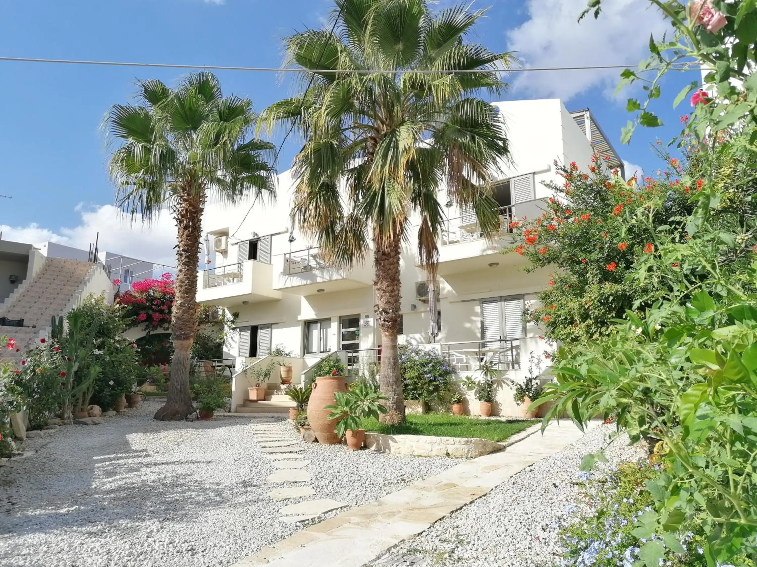 Lion-Suites Lion-Suites