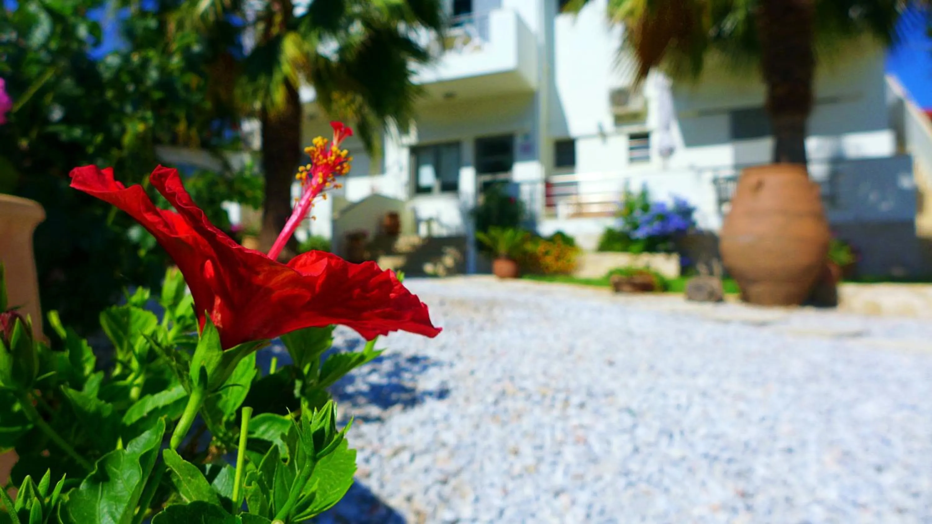 Facade/entrance in Lion-Suites