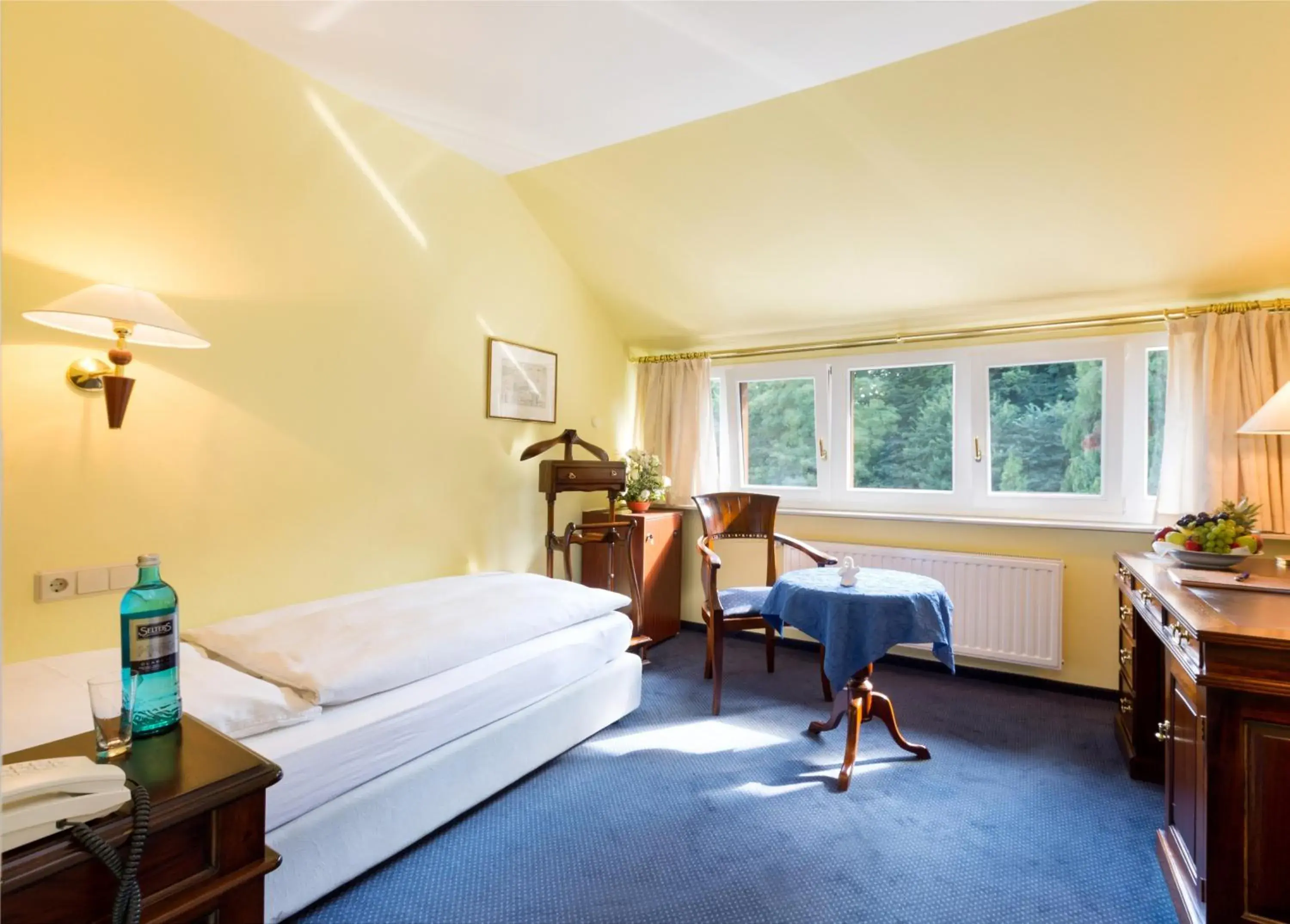 Single Room in Schlosshotel Ralswiek Single Room in Schlosshotel Ralswiek