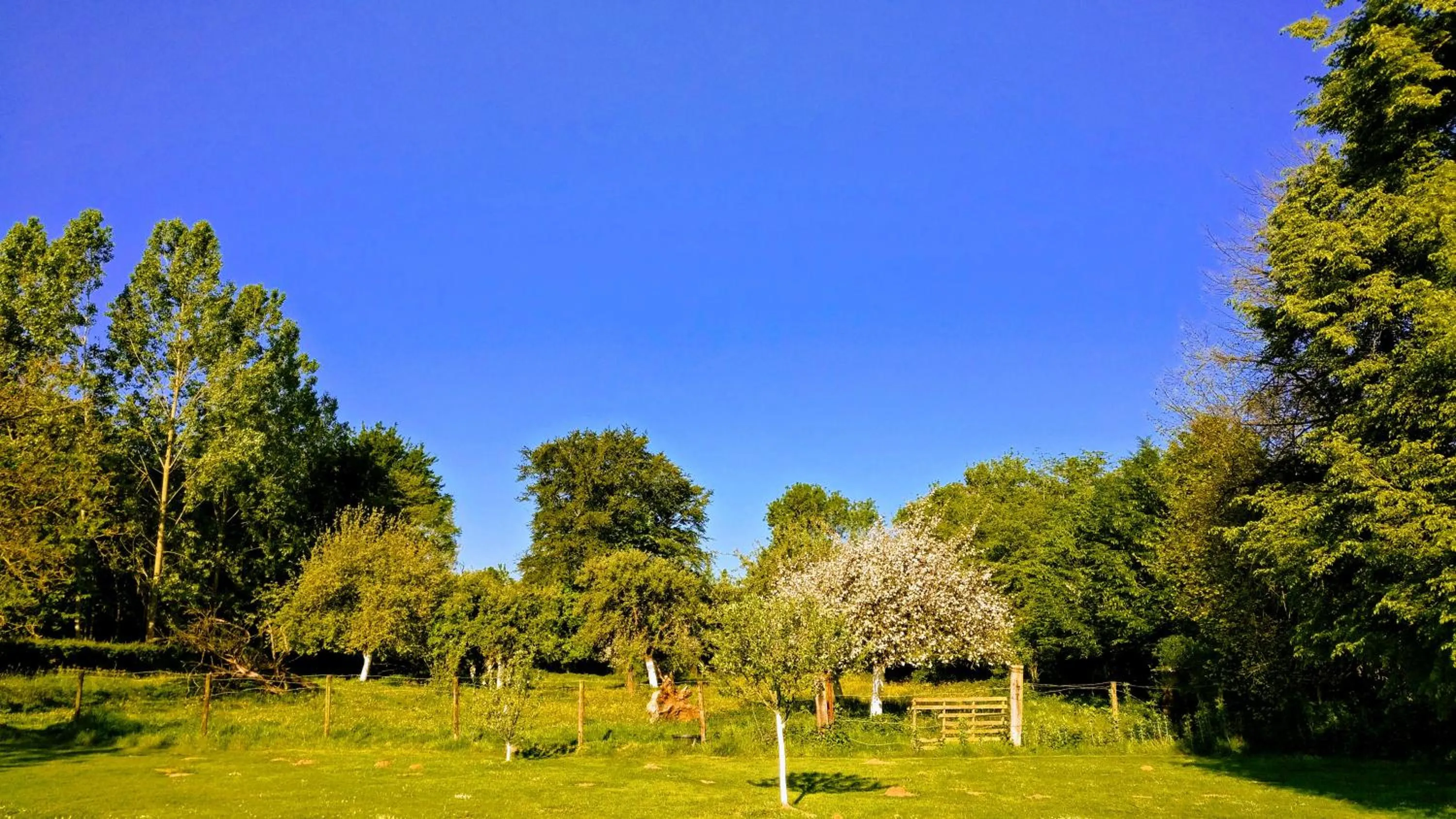 Garden view in Les Chambres de Pascaline