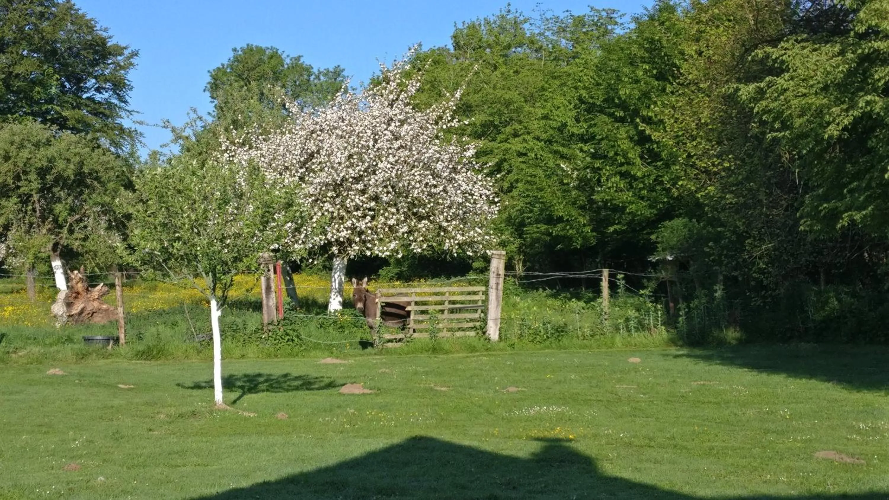 Garden view in Les Chambres de Pascaline