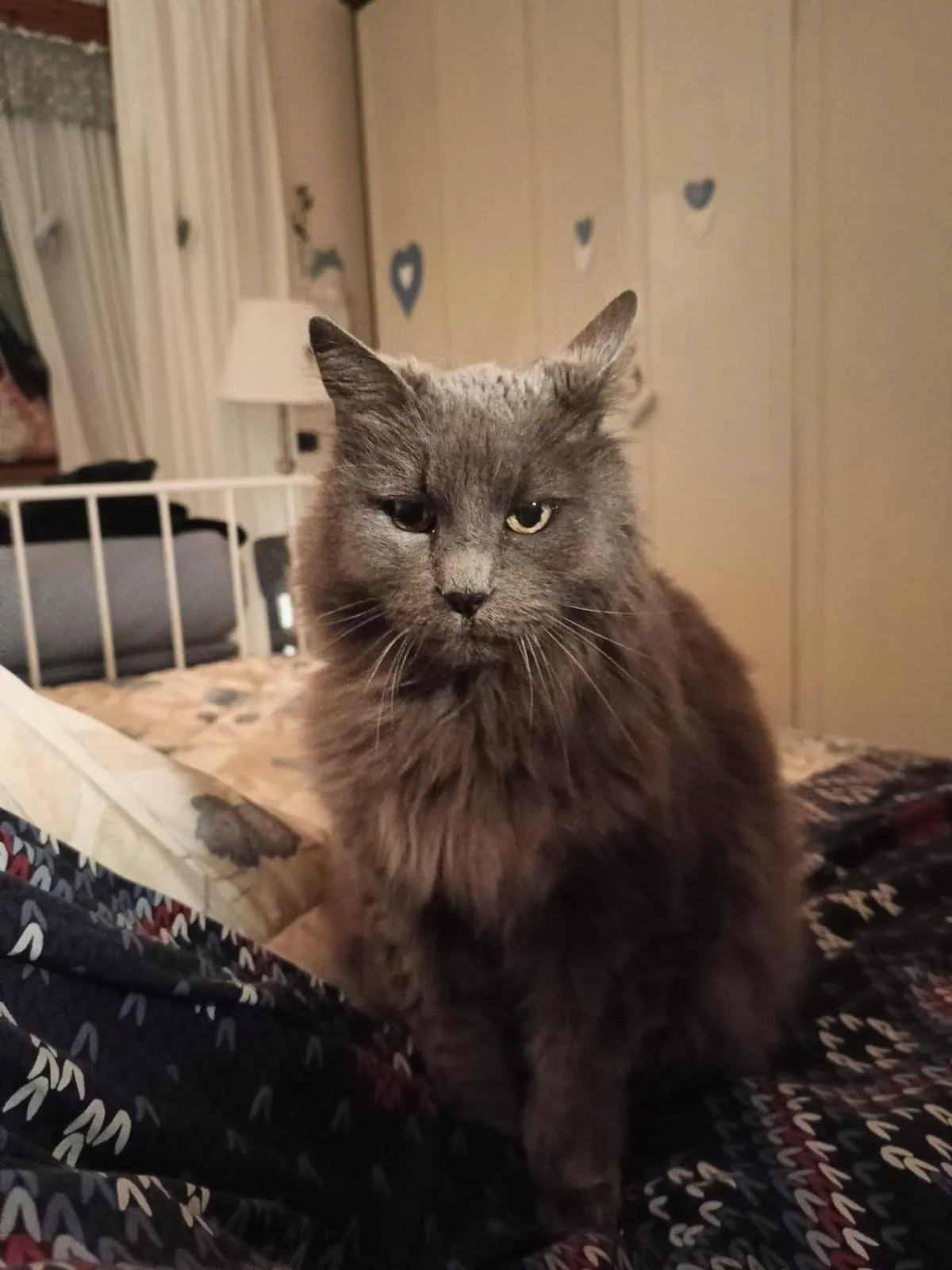 Alla tana del bianconiglio