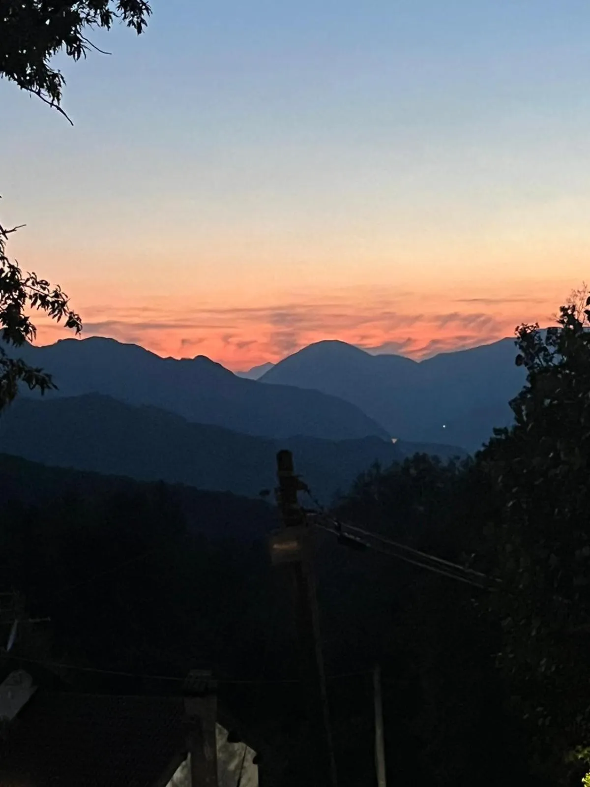 Alla tana del bianconiglio