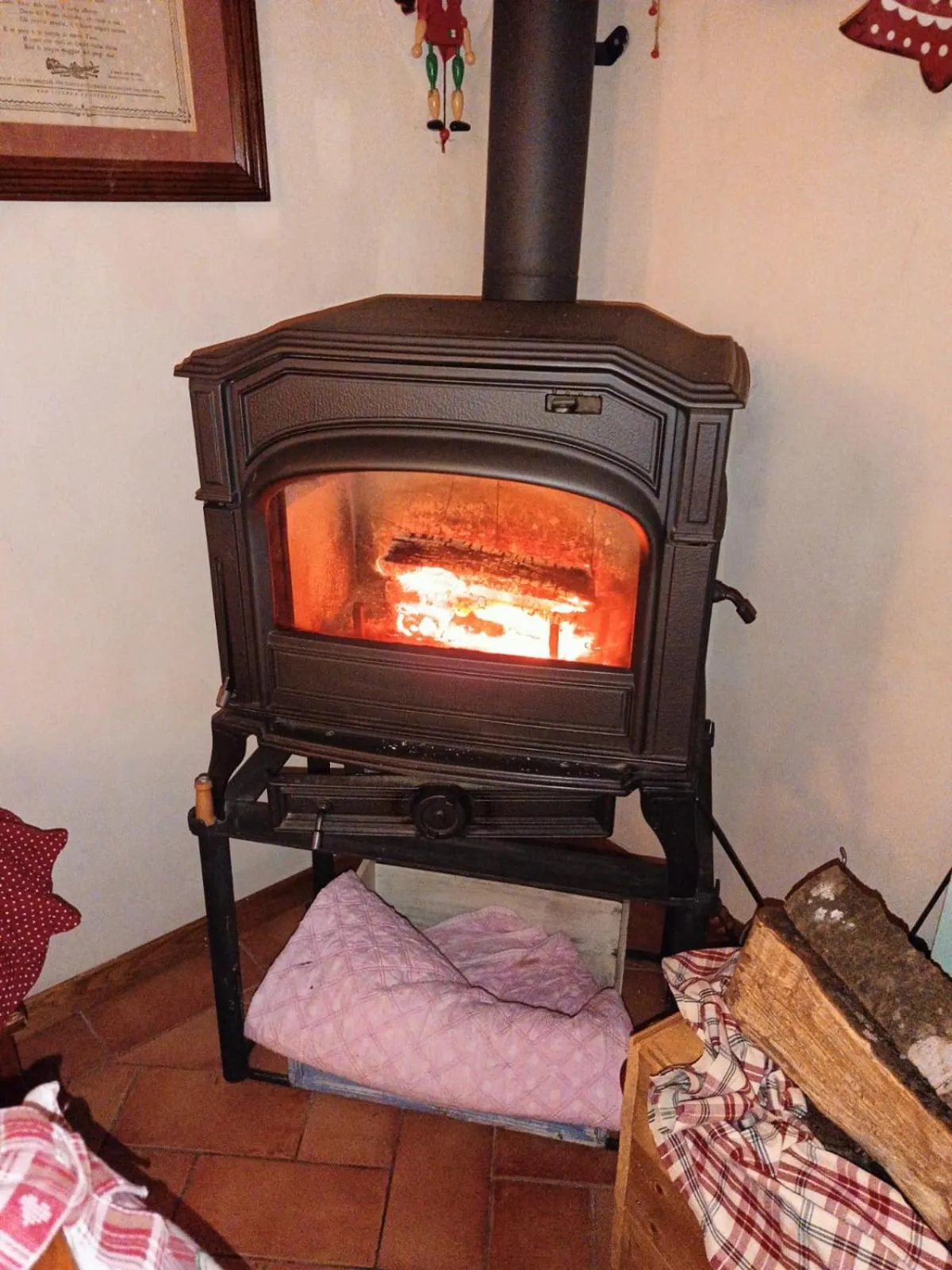 Alla tana del bianconiglio