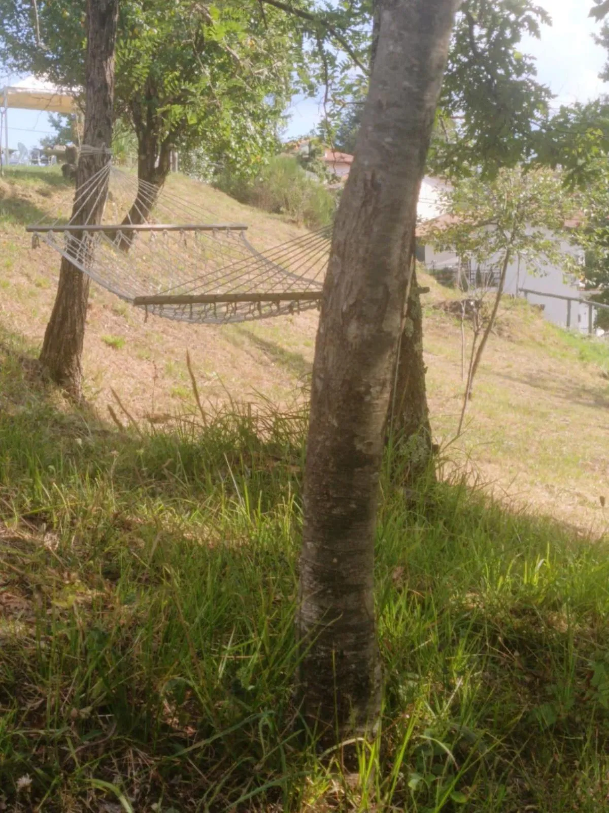 Alla tana del bianconiglio