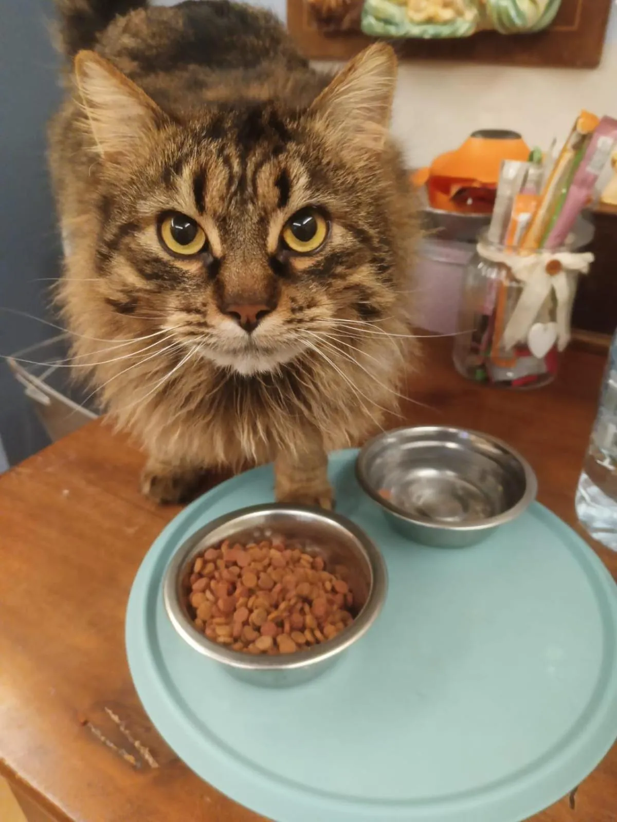 Alla tana del bianconiglio