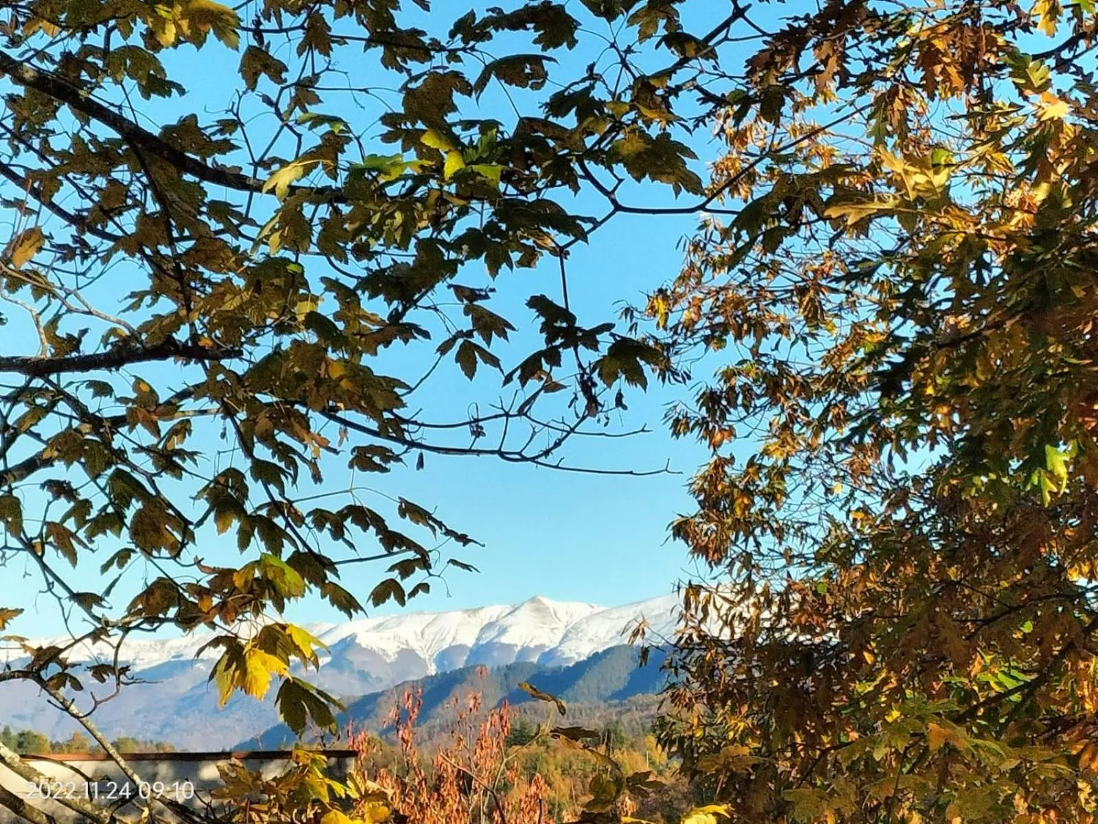 Alla tana del bianconiglio