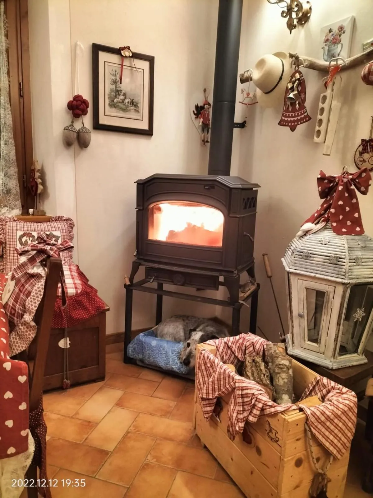 Alla tana del bianconiglio