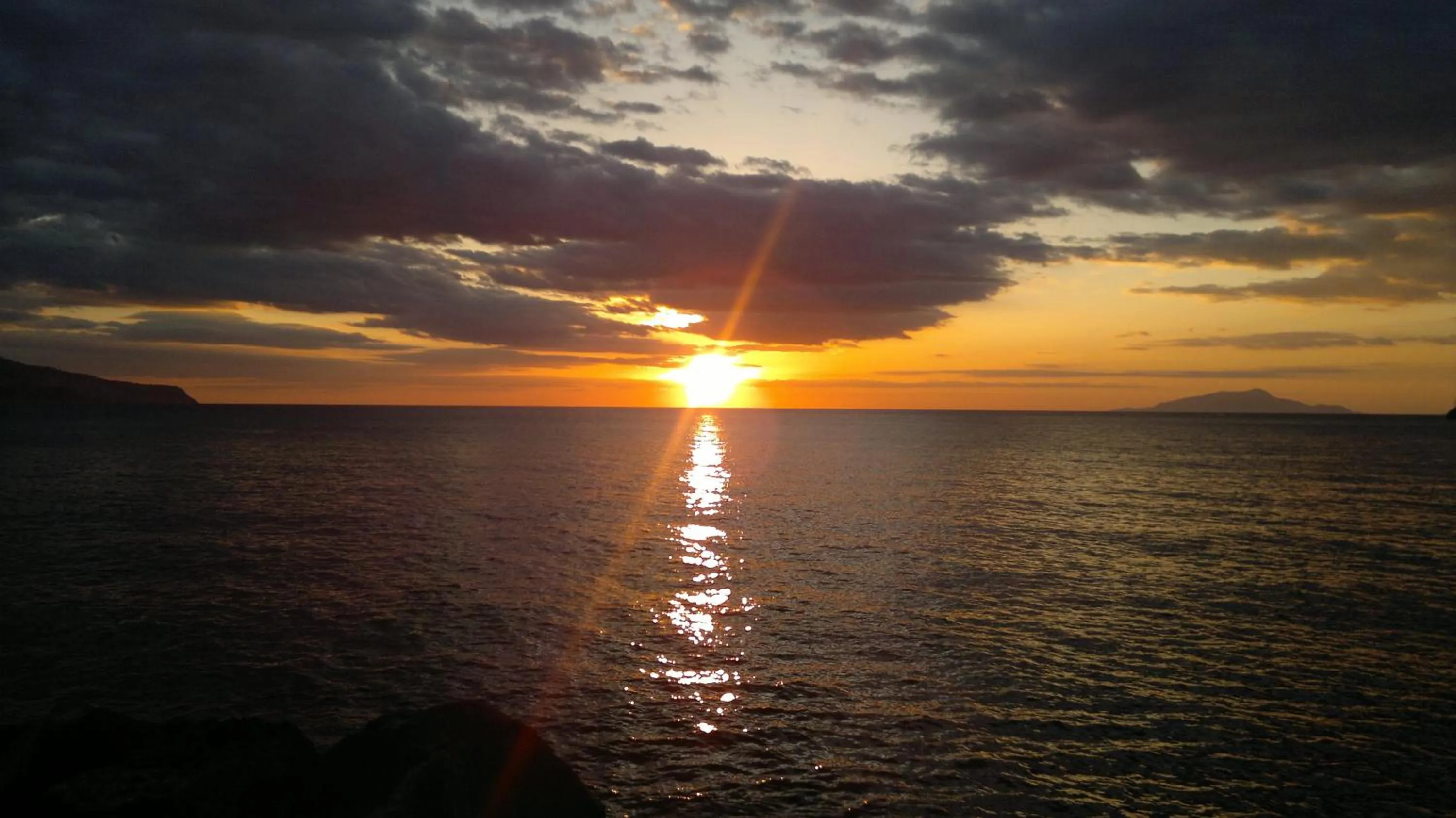 Other in Central Park