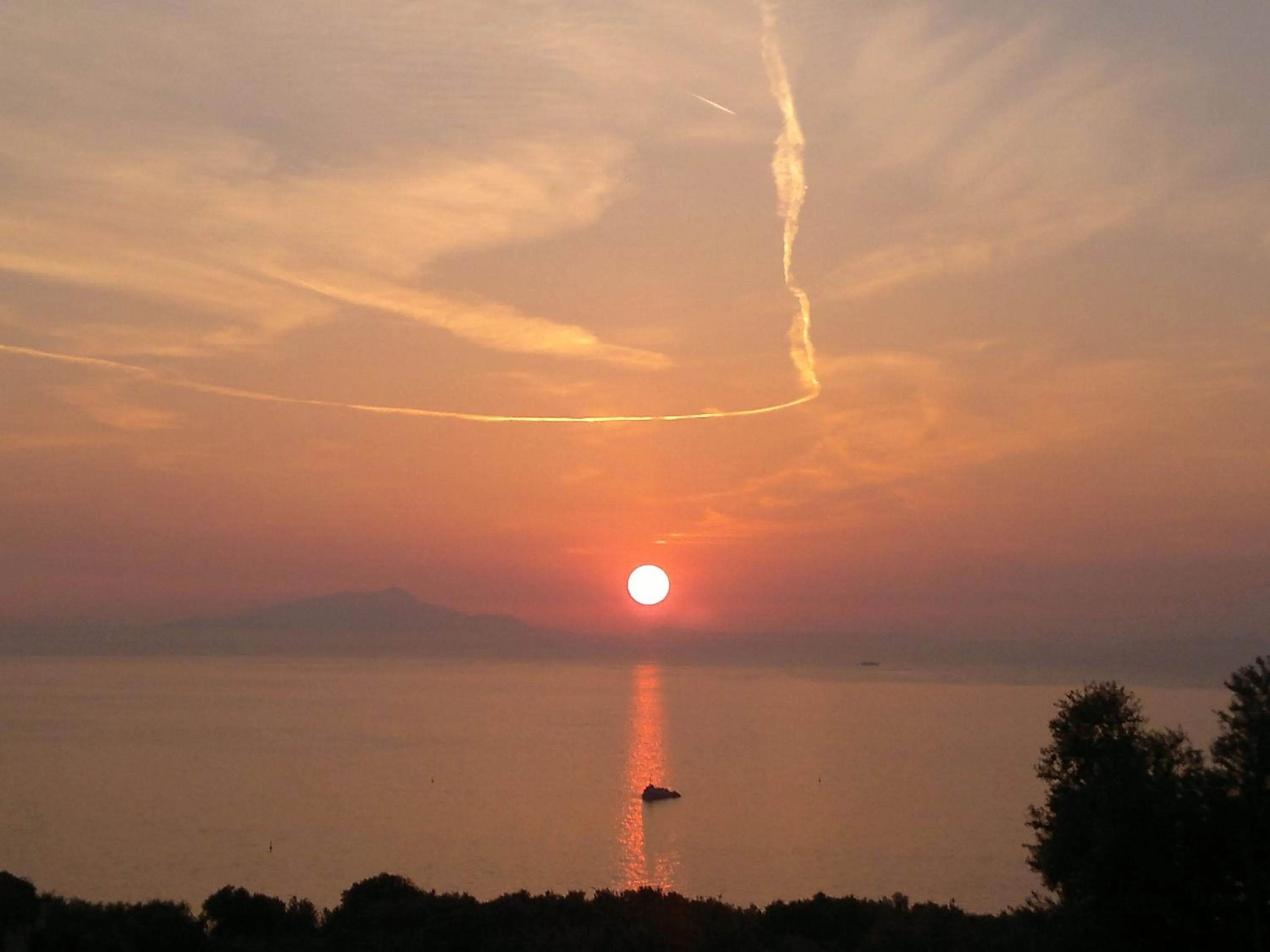 Other in Central Park