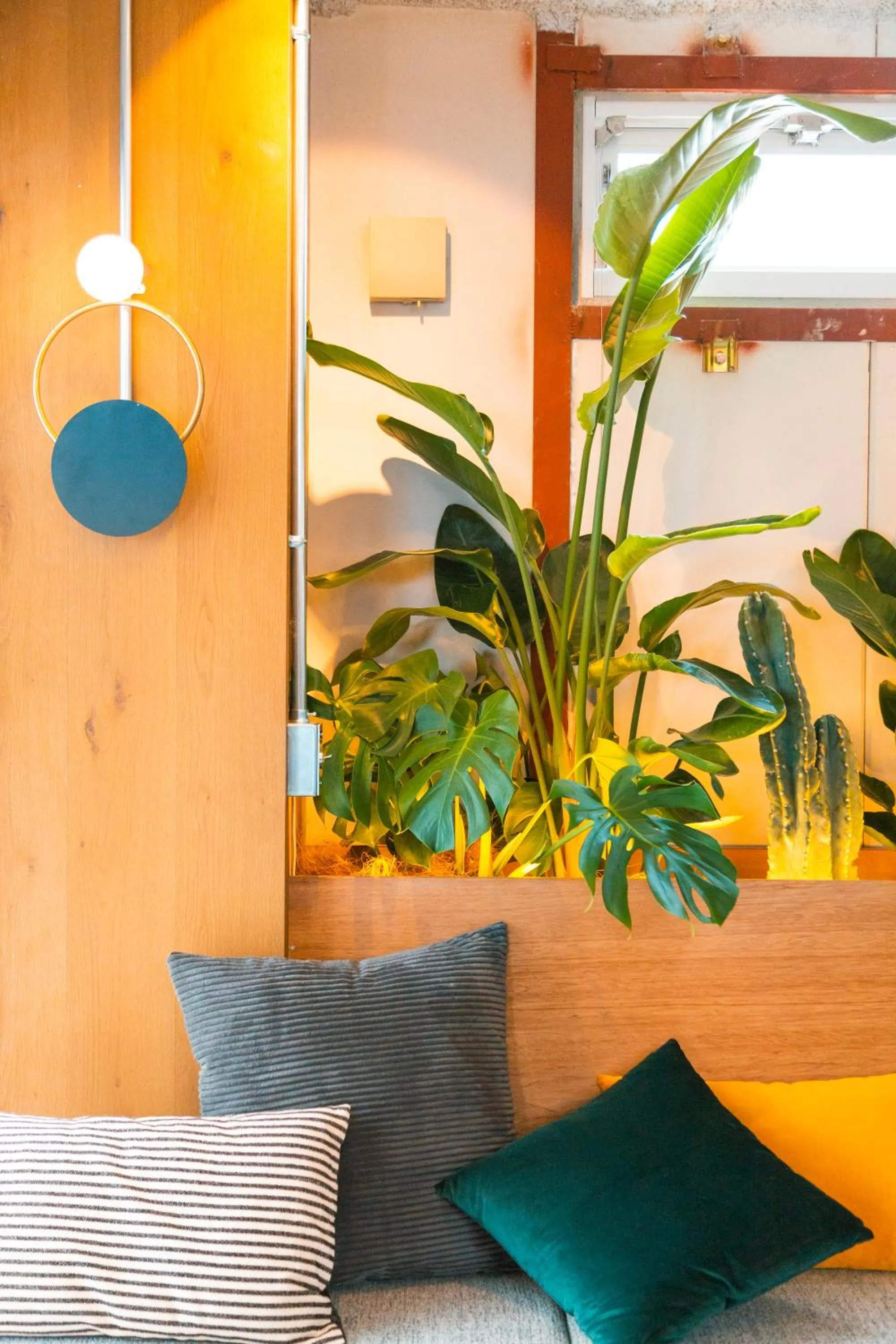 Photo of the whole room in illi Esu Nakano