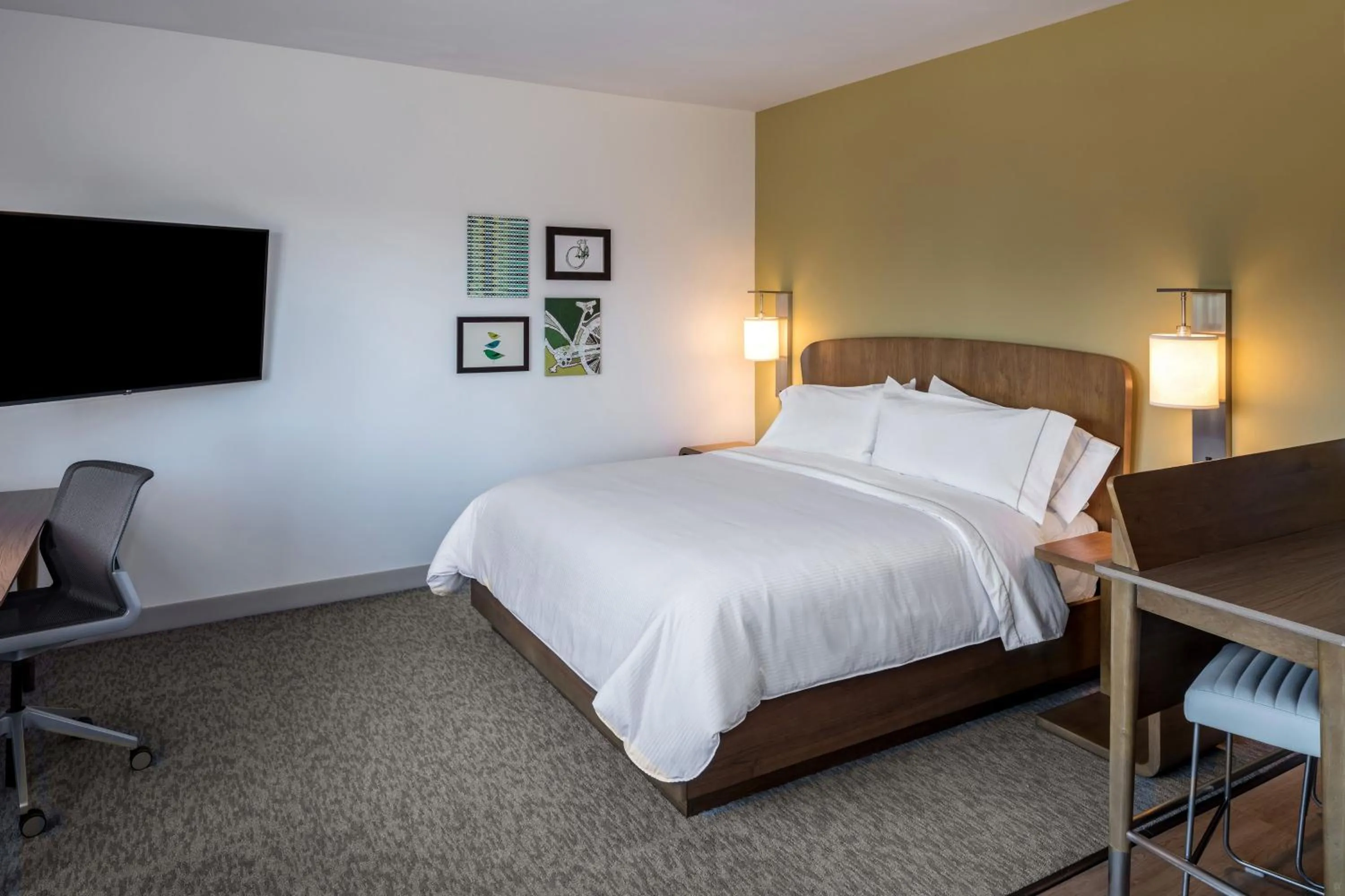 Photo of the whole room, Bed in Element Bend