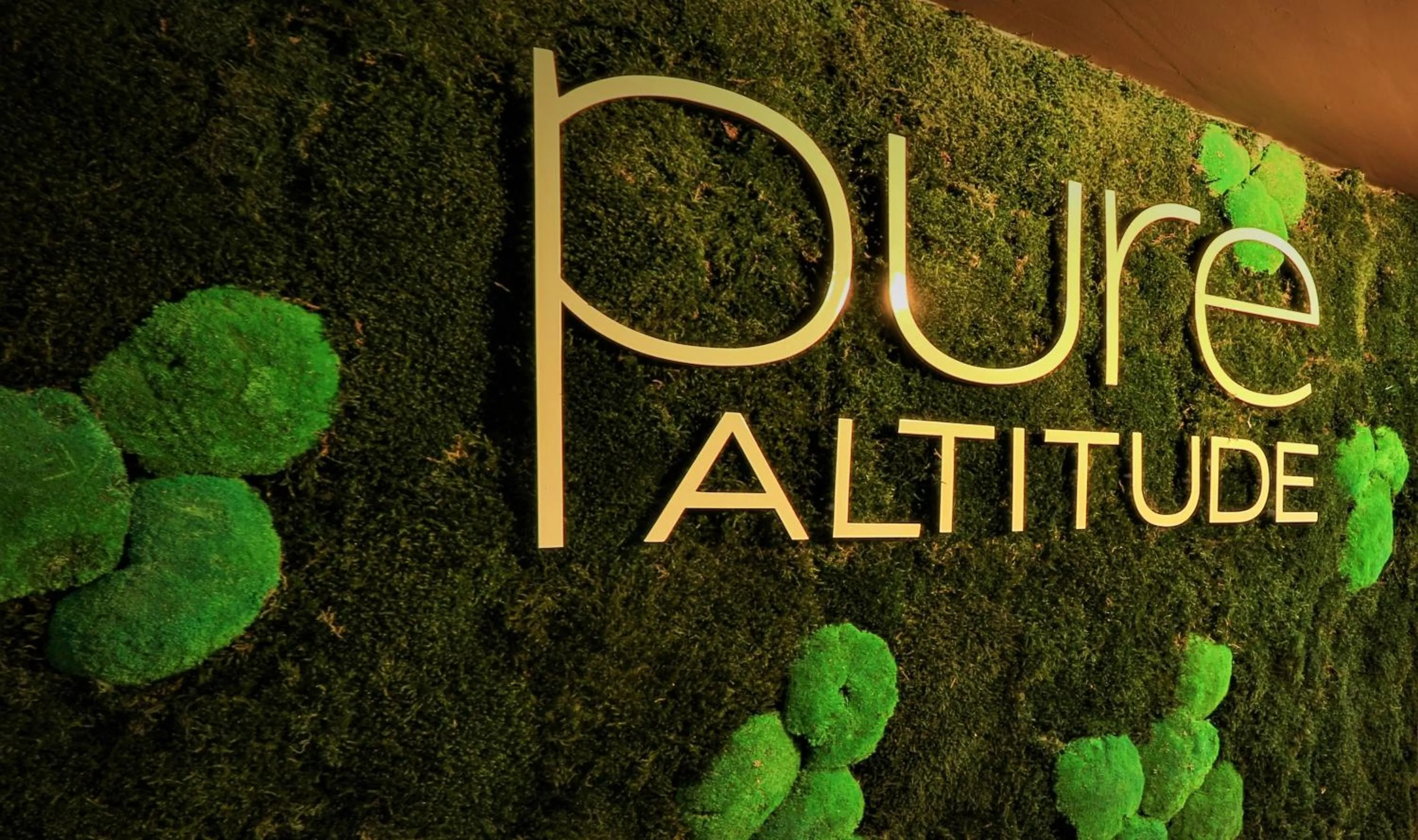 Spa and wellness centre/facilities in Hôtel Le Diamond Rock