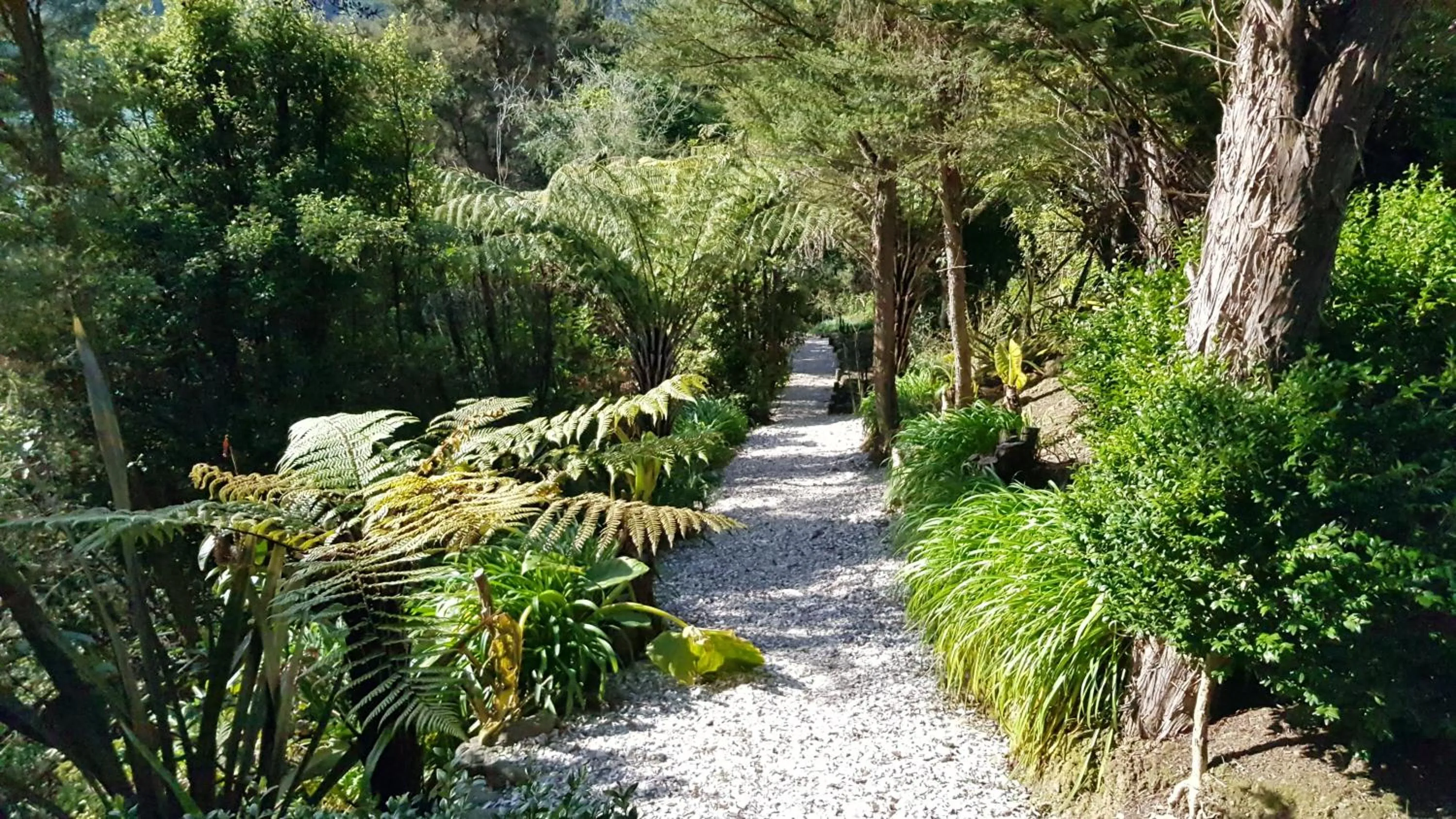 Garden in Moana Haven B&B