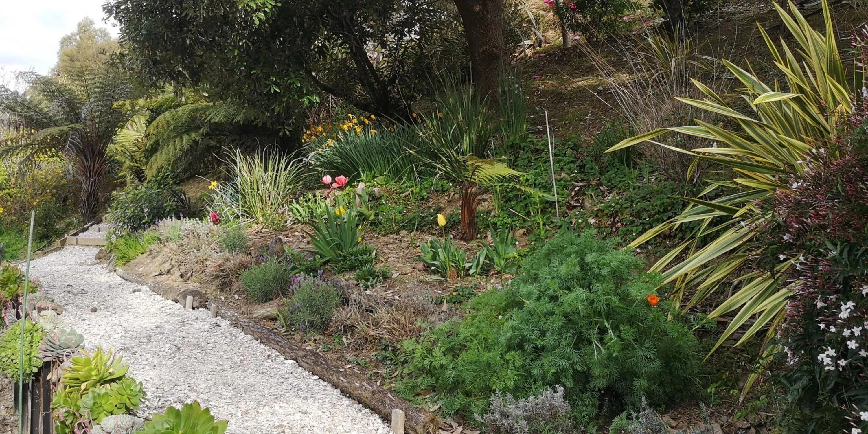Garden in Moana Haven B&B