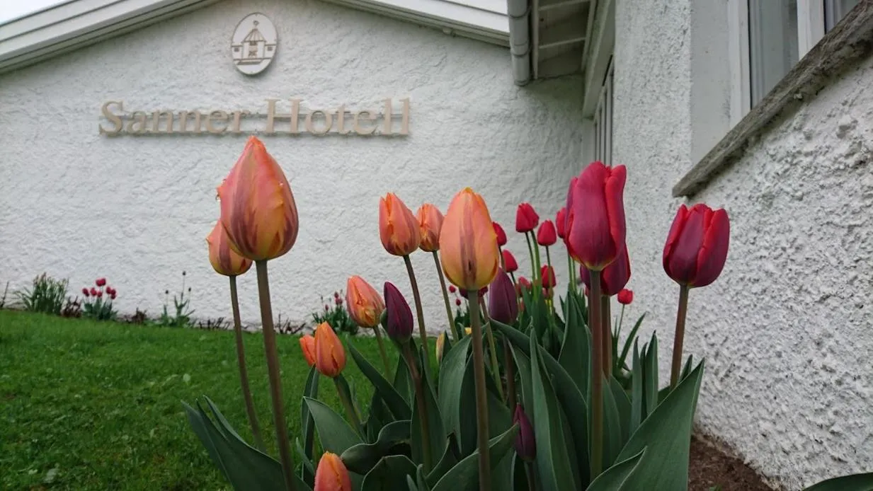 Garden in Sanner Hotell