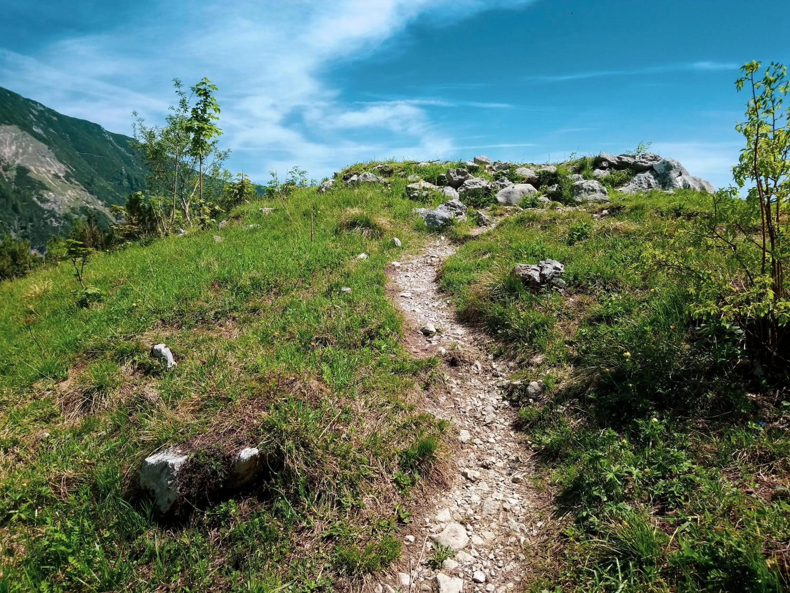 Natural landscape in Hotel Unterwirt