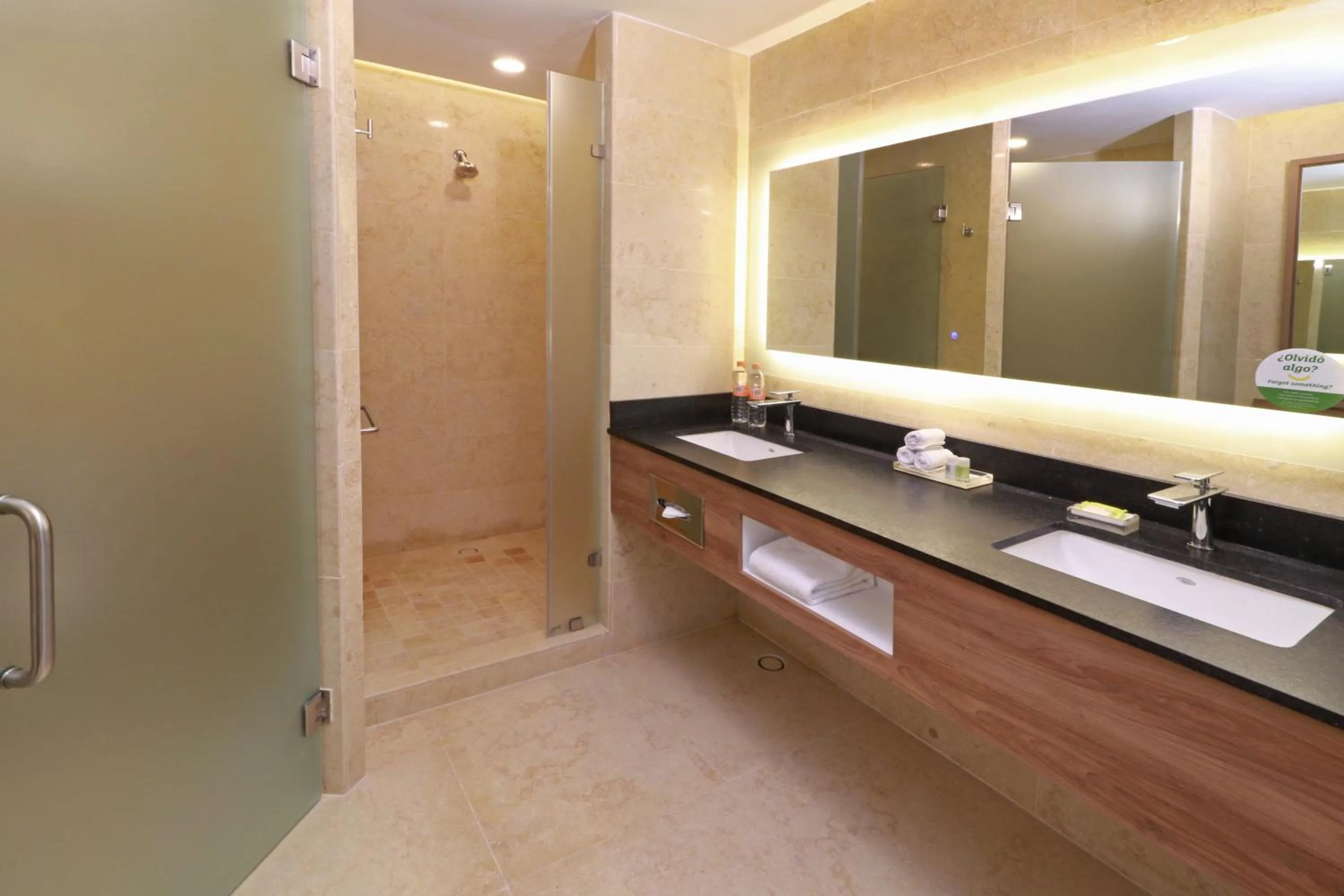 Bathroom in Holiday Inn & Suites - Puerto Vallarta Marina & Golf by IHG