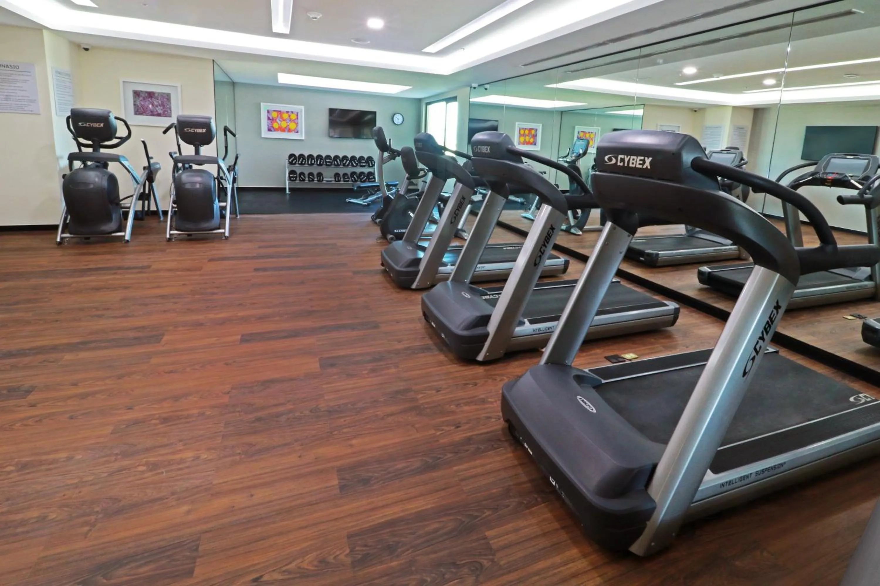 Fitness centre/facilities in Holiday Inn & Suites - Puerto Vallarta Marina & Golf by IHG