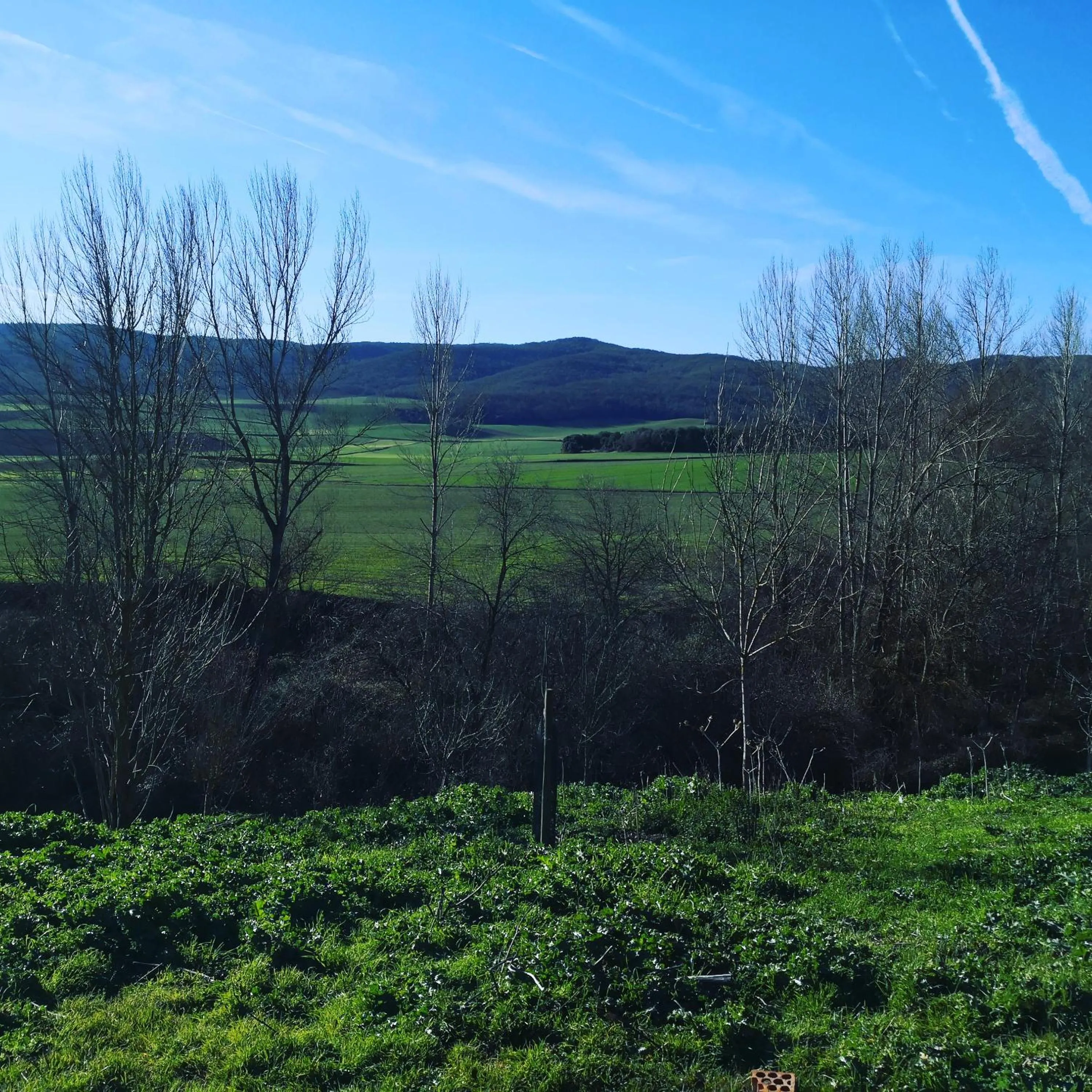 Day in Casa Grande Hotel