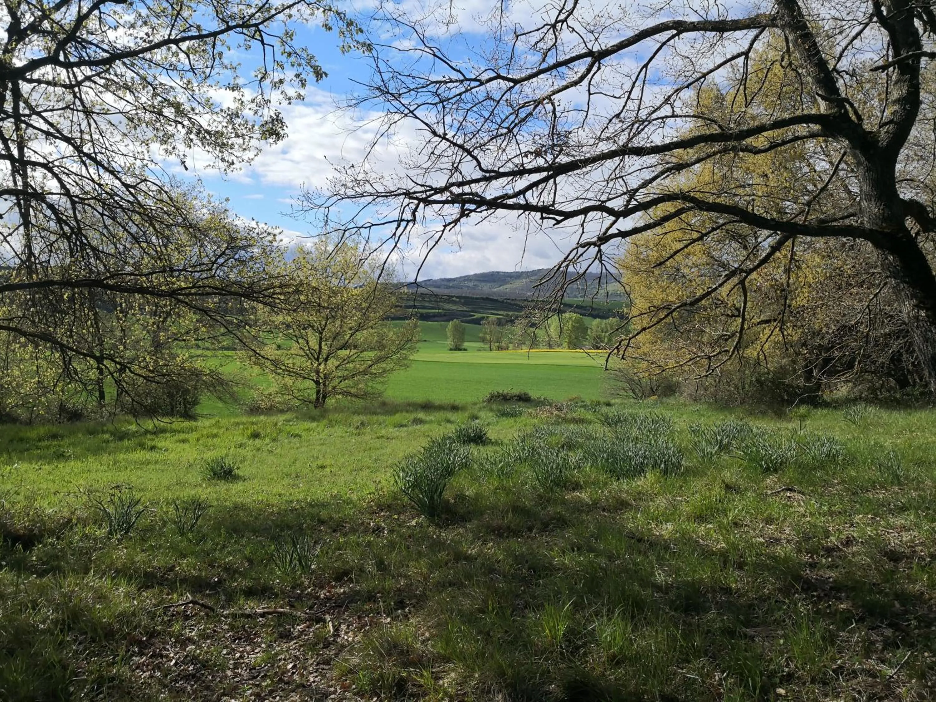 Day in Casa Grande Hotel