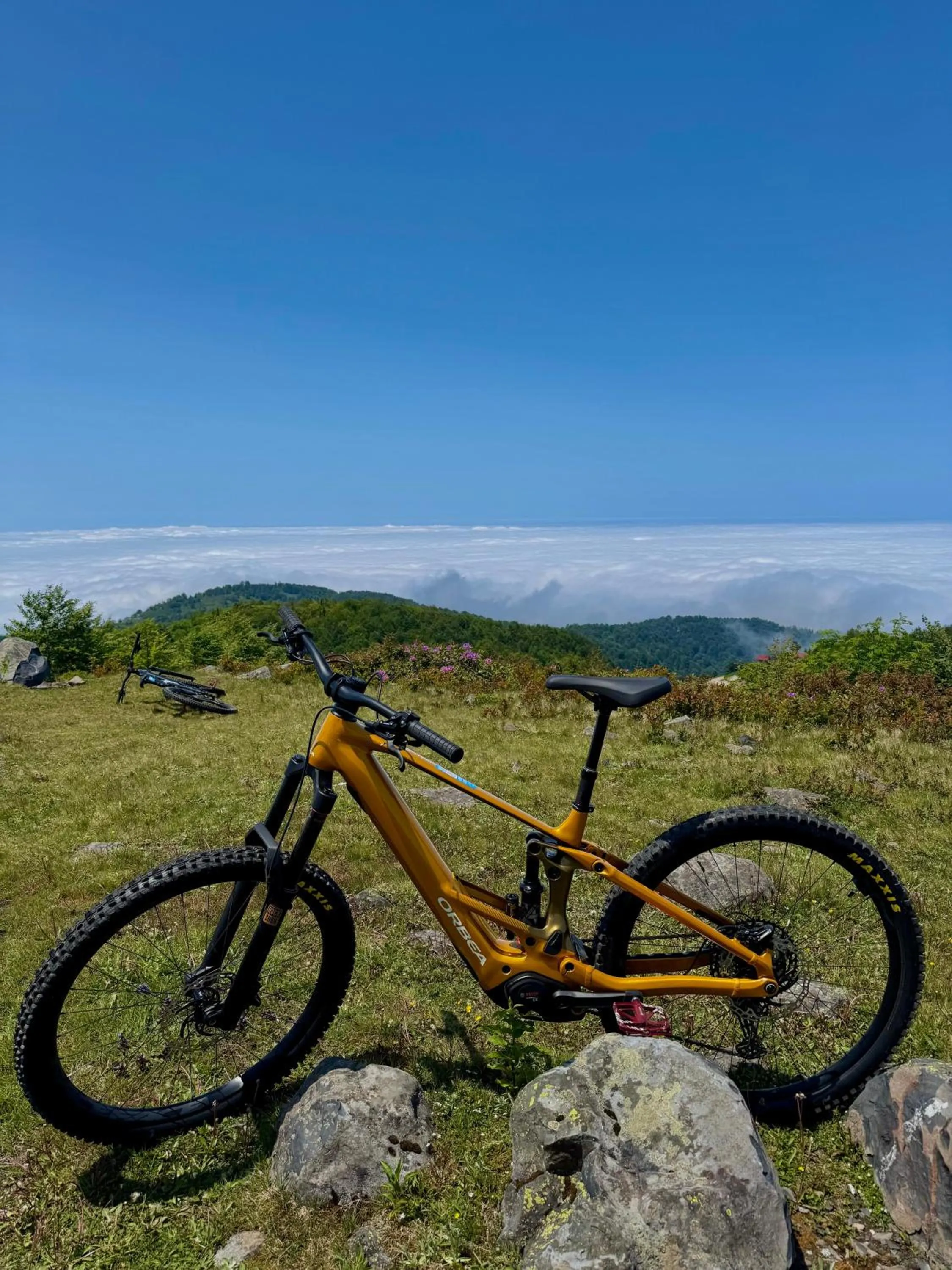 Flora Handüzü Resort & Wellness Bungalow Hotel