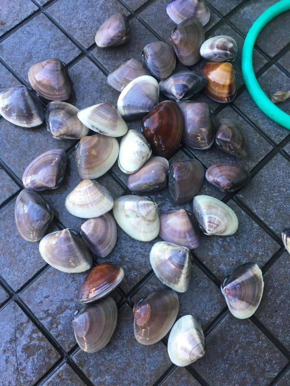 Narita Airport Samurai Hostel