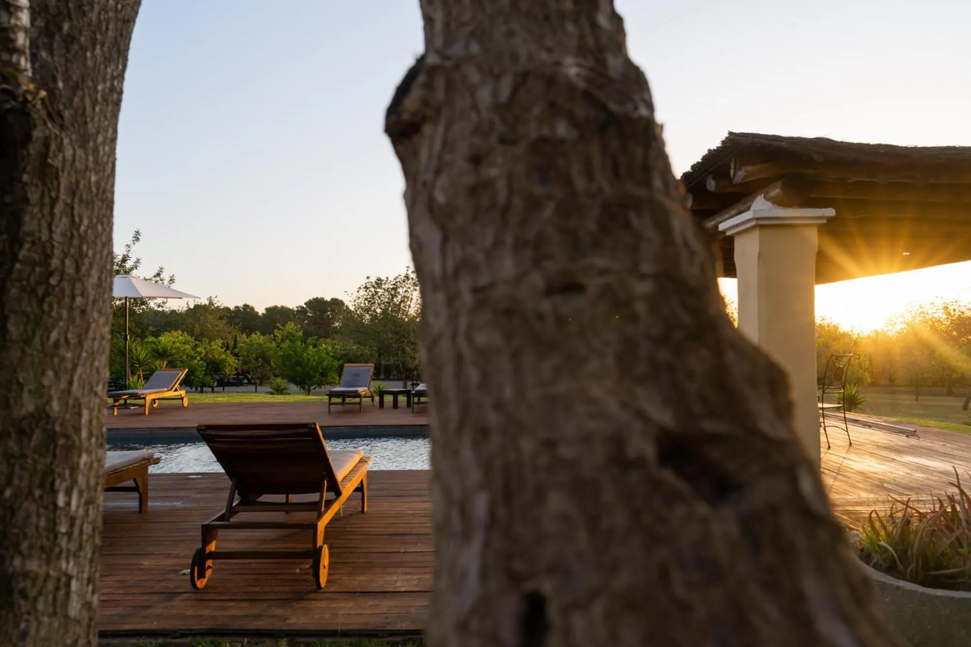 Pool view in LAS MARIPOSAS