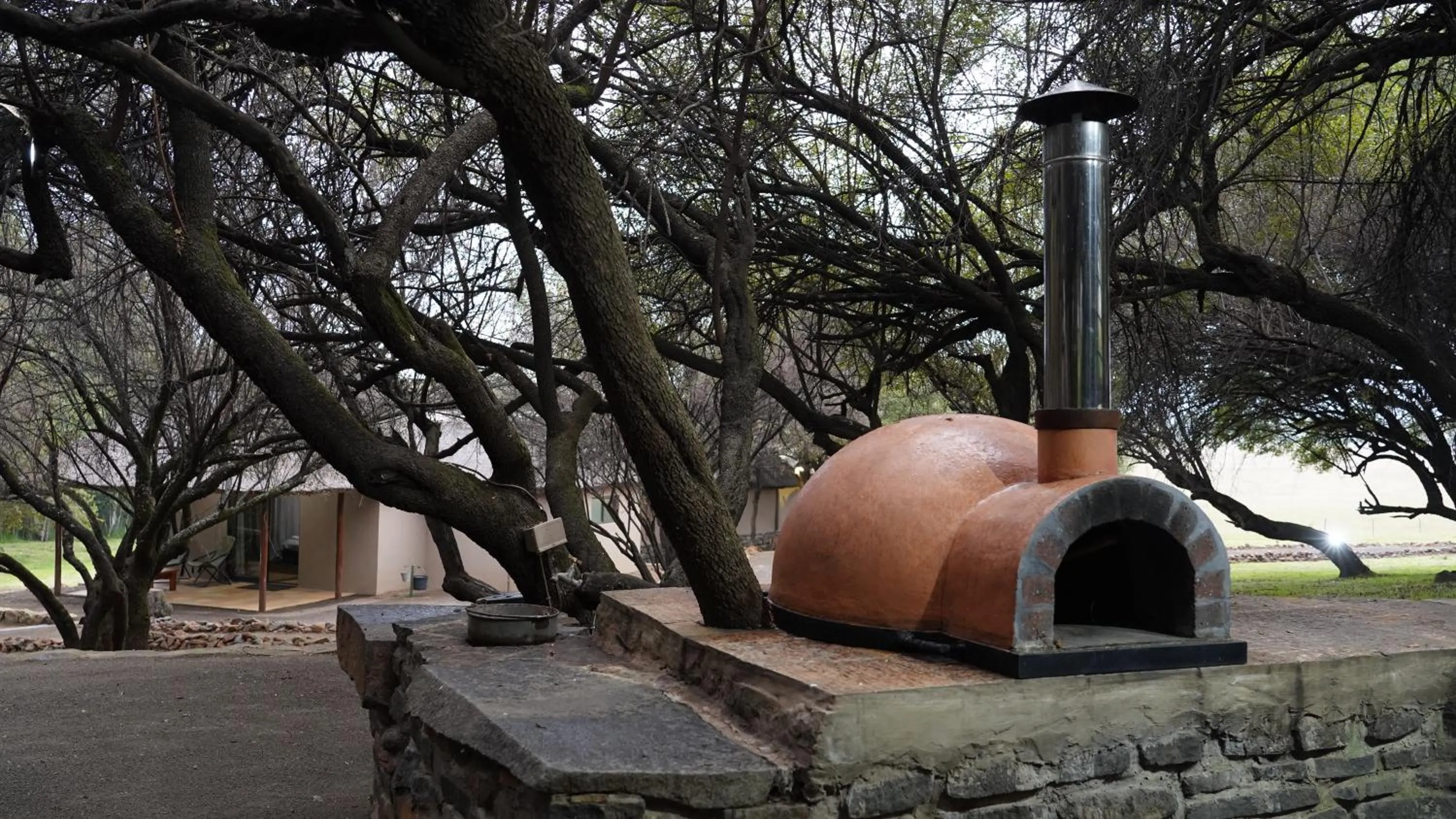 Day in Francolin Creek