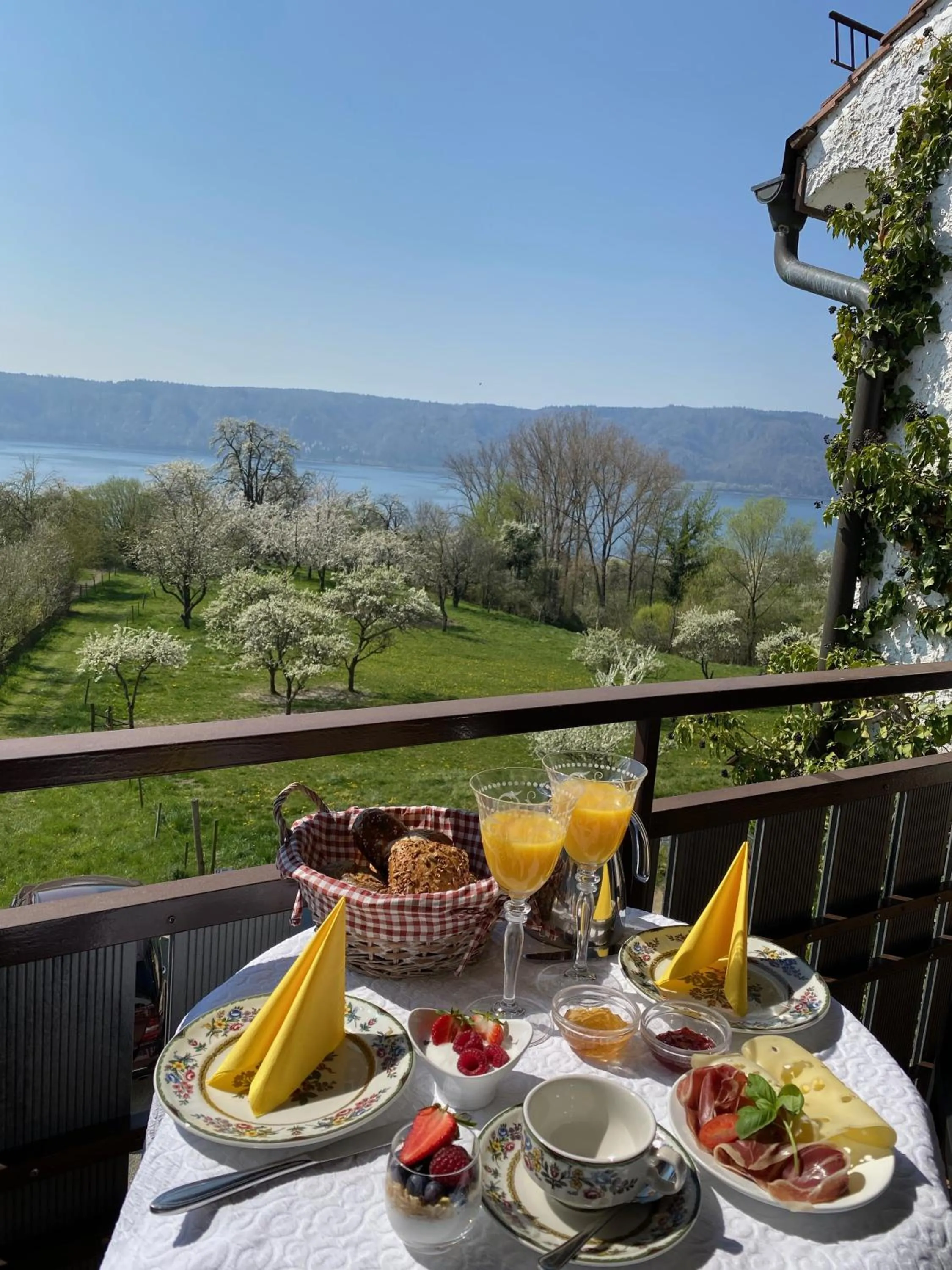Balcony/Terrace in Hotel Landhaus Sternen
