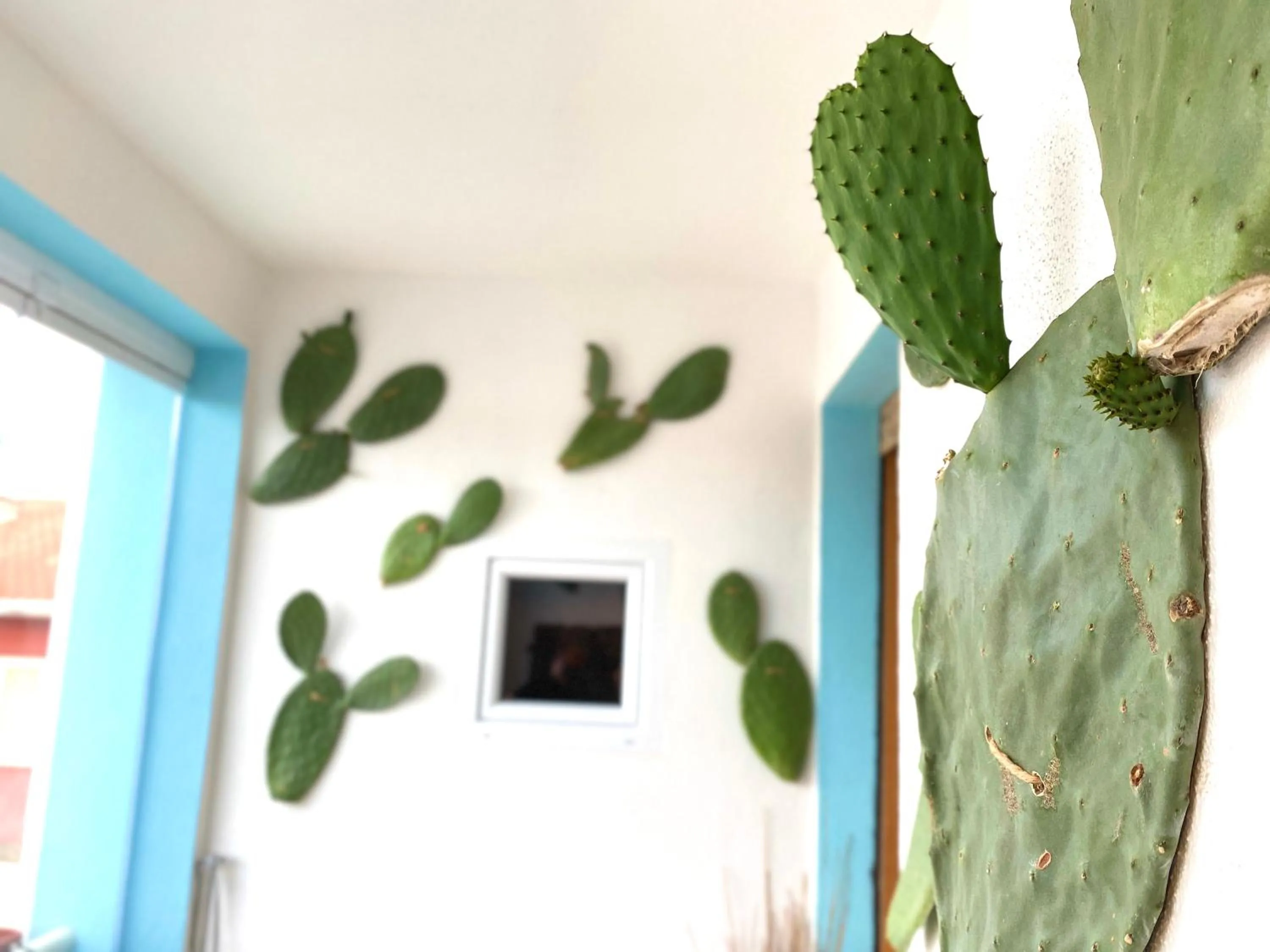 Communal lounge/ TV room in Canduleri