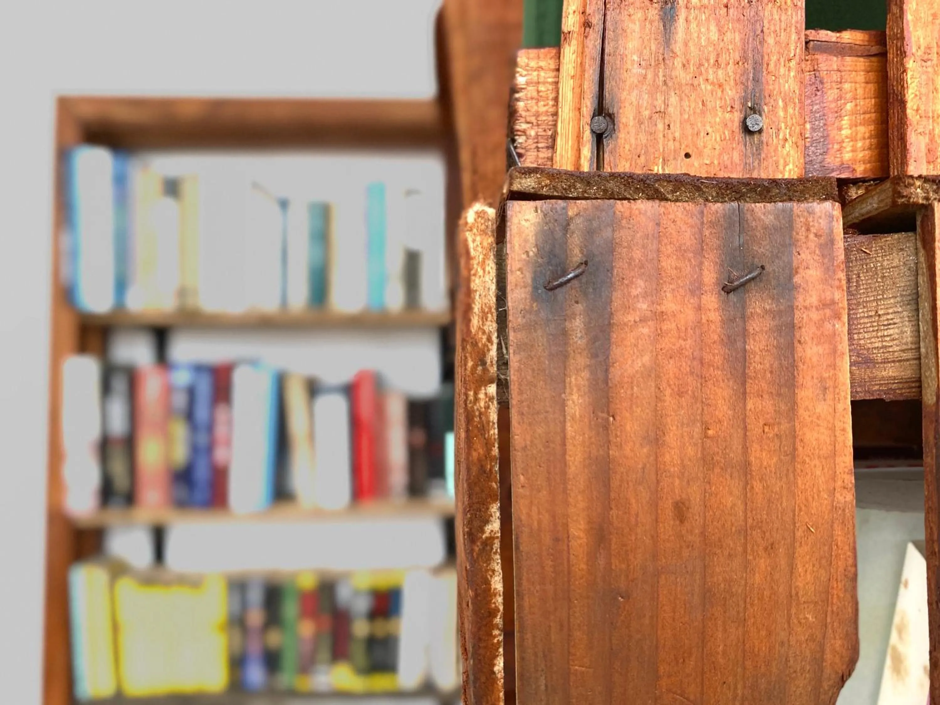 Library in Canduleri