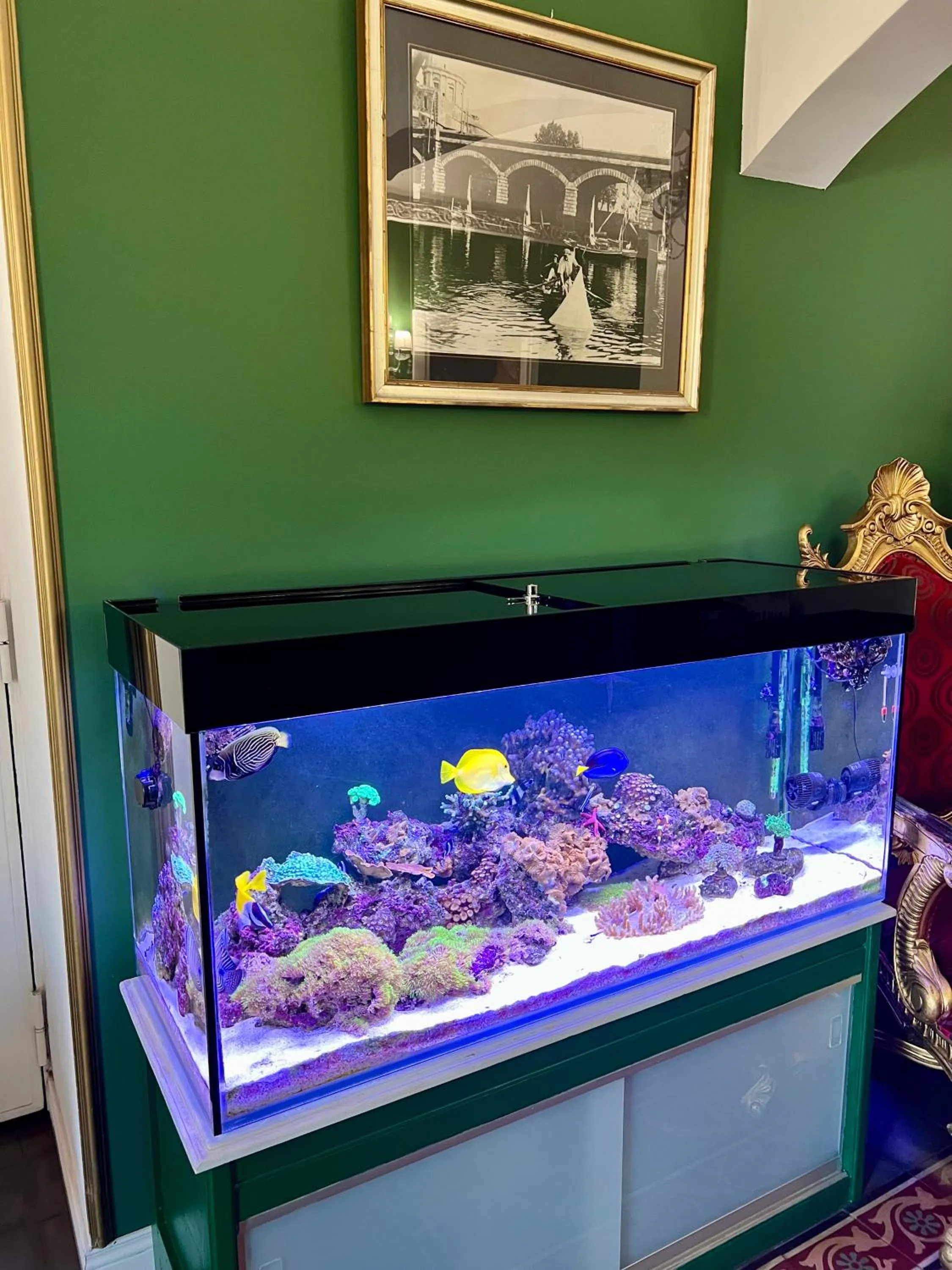 Area and facilities in Duca di Uzeda Bed and Breakfast