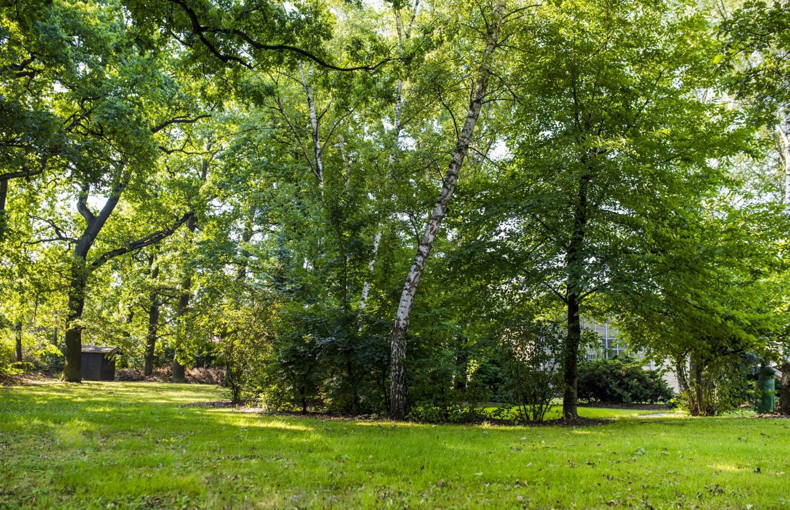 Natural landscape in Parkhotel Stadtallendorf