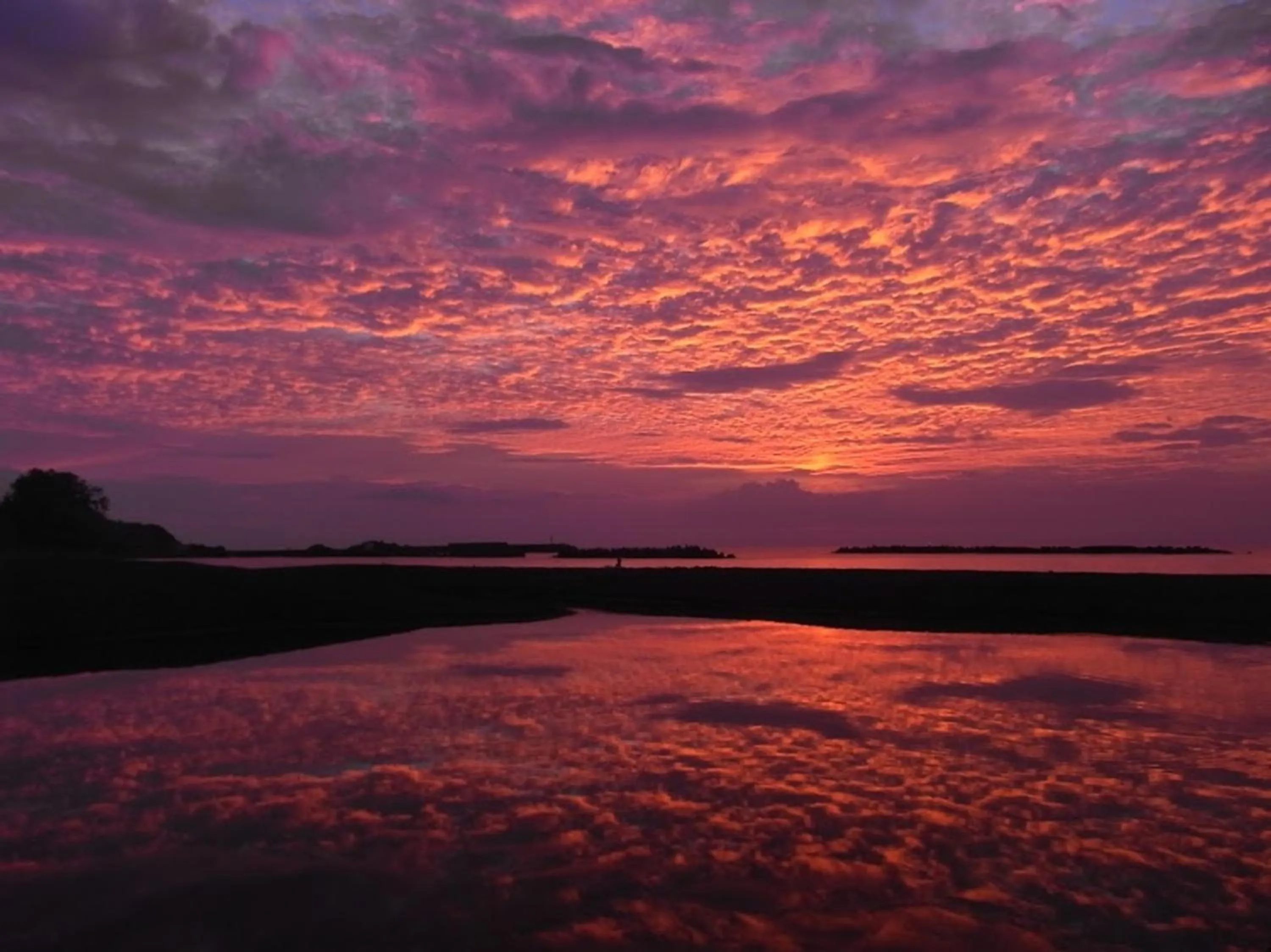 Natural landscape in Tabist Odakeya Ryokan Kashiwazaki