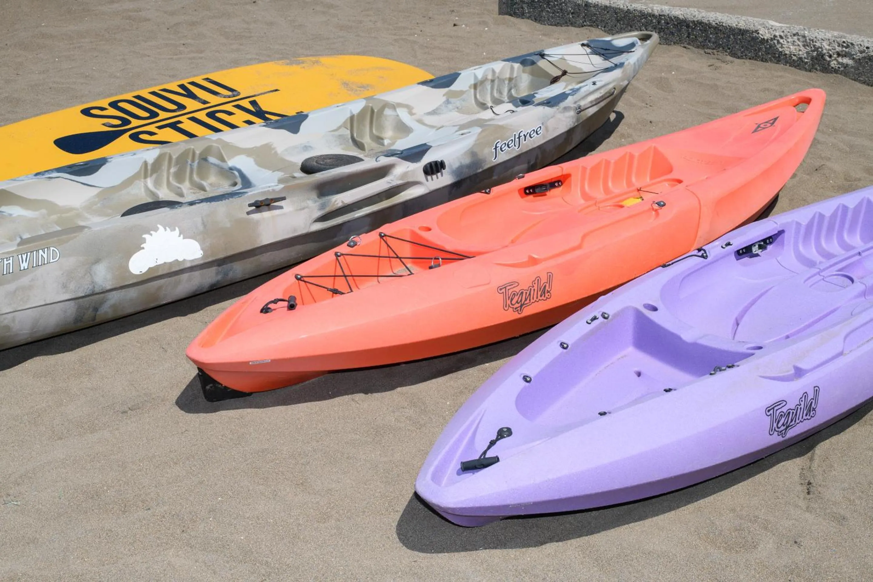 Activities in Tabist Odakeya Ryokan Kashiwazaki