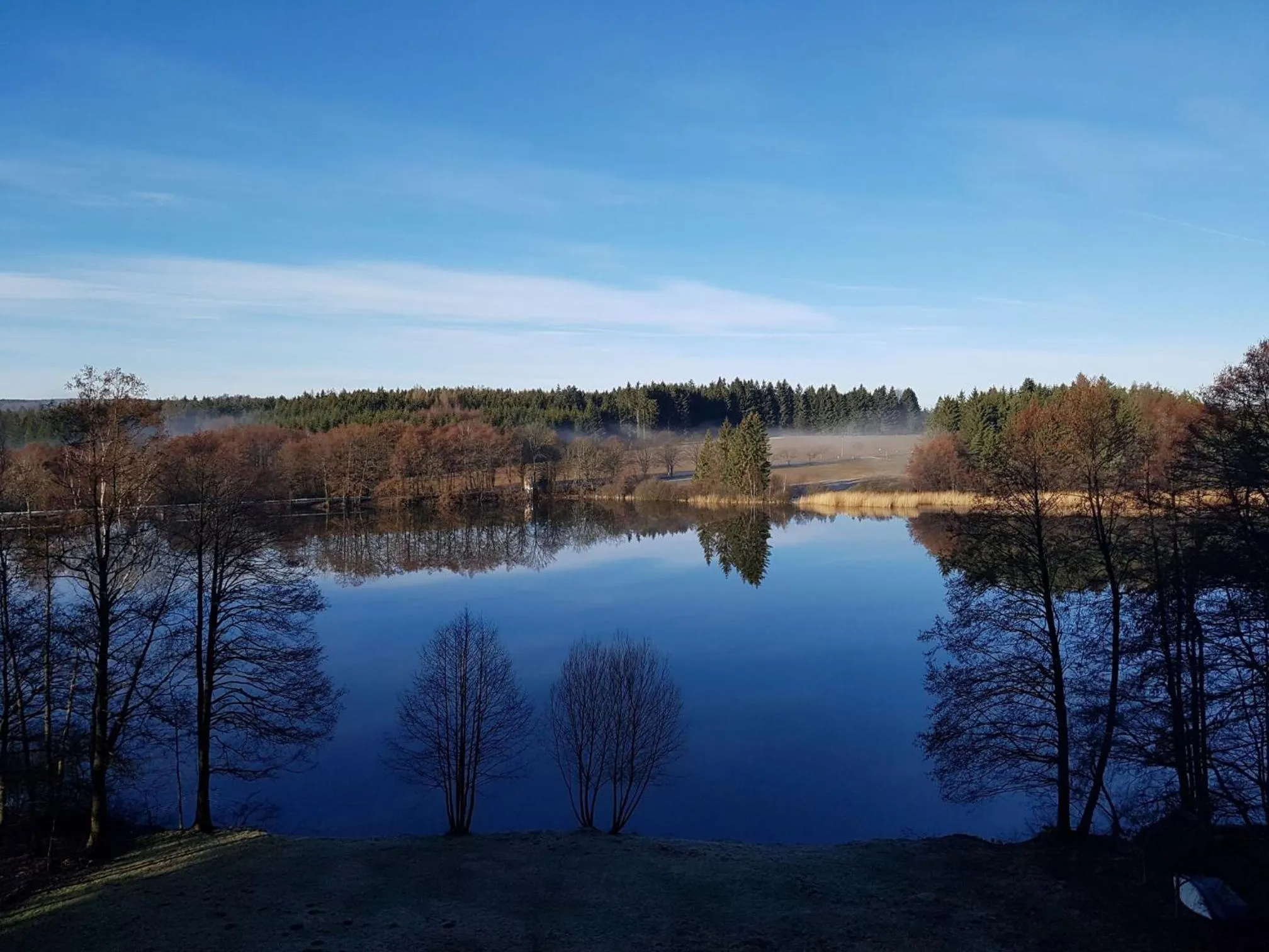 Natural landscape in Hotel Chytrov