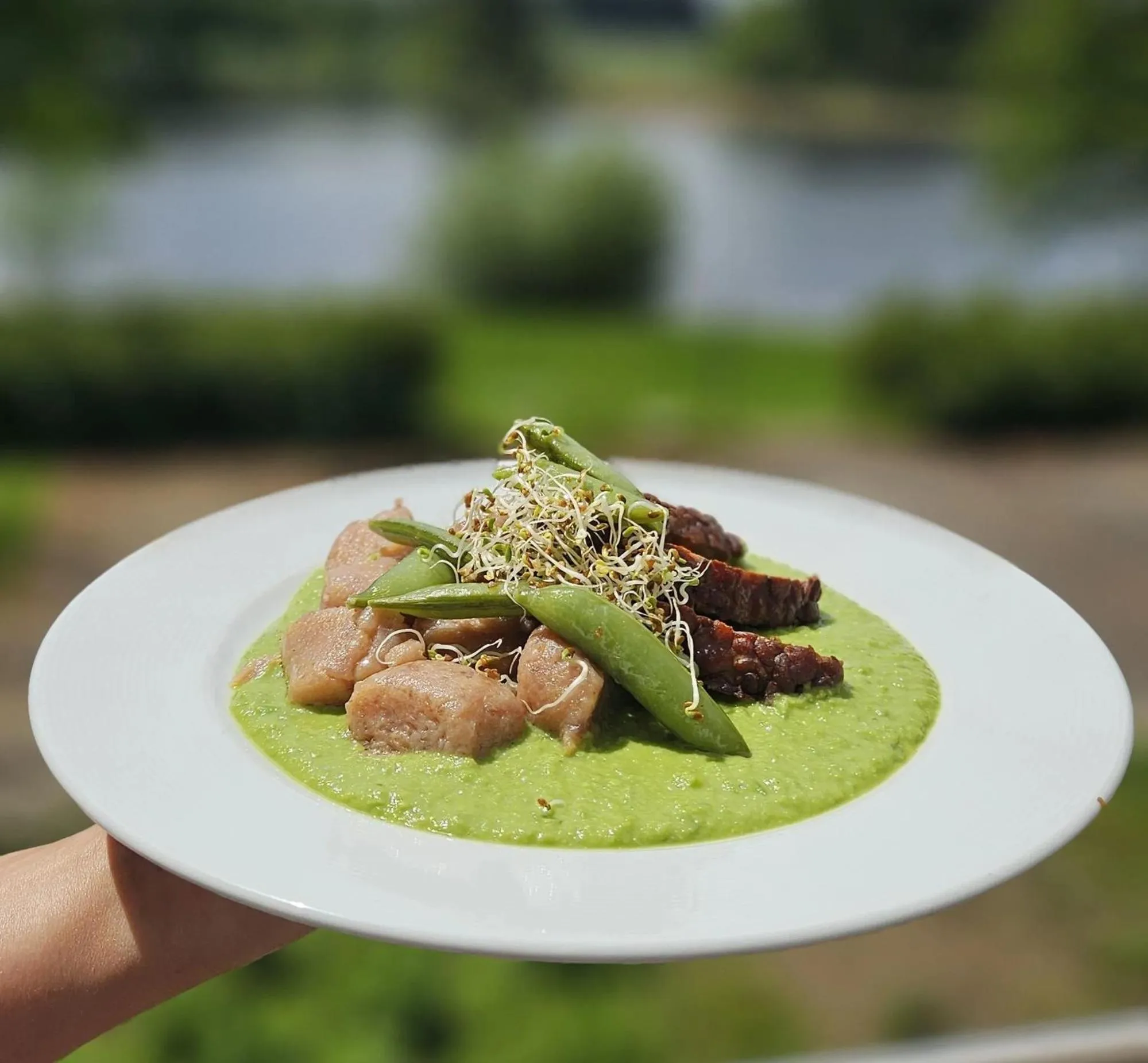 Day in Hotel Chytrov