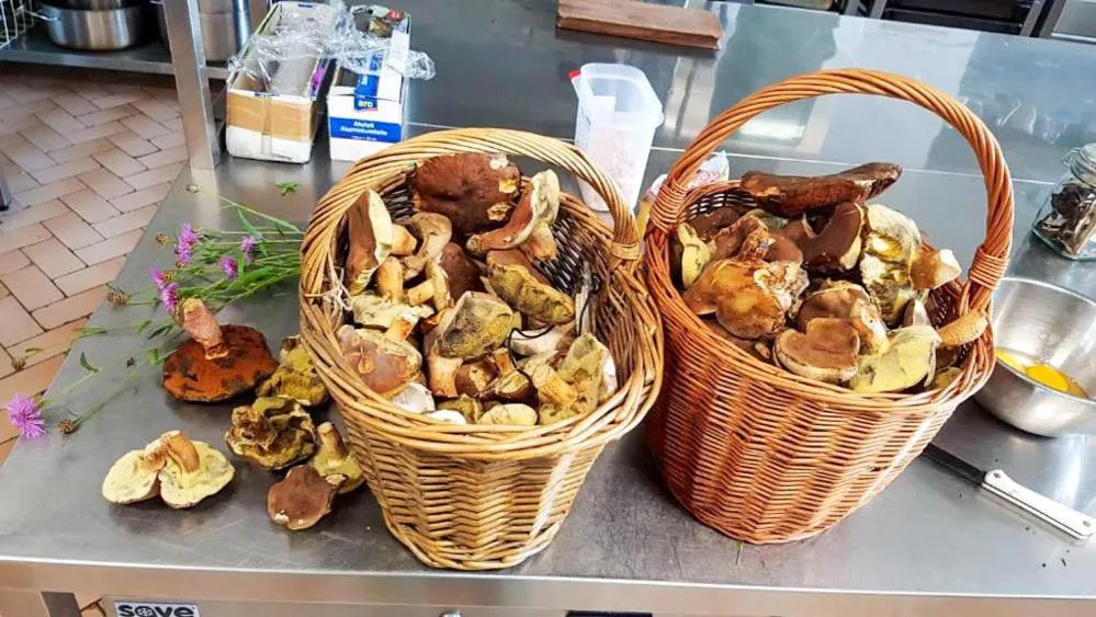 Activities in Hotel Chytrov