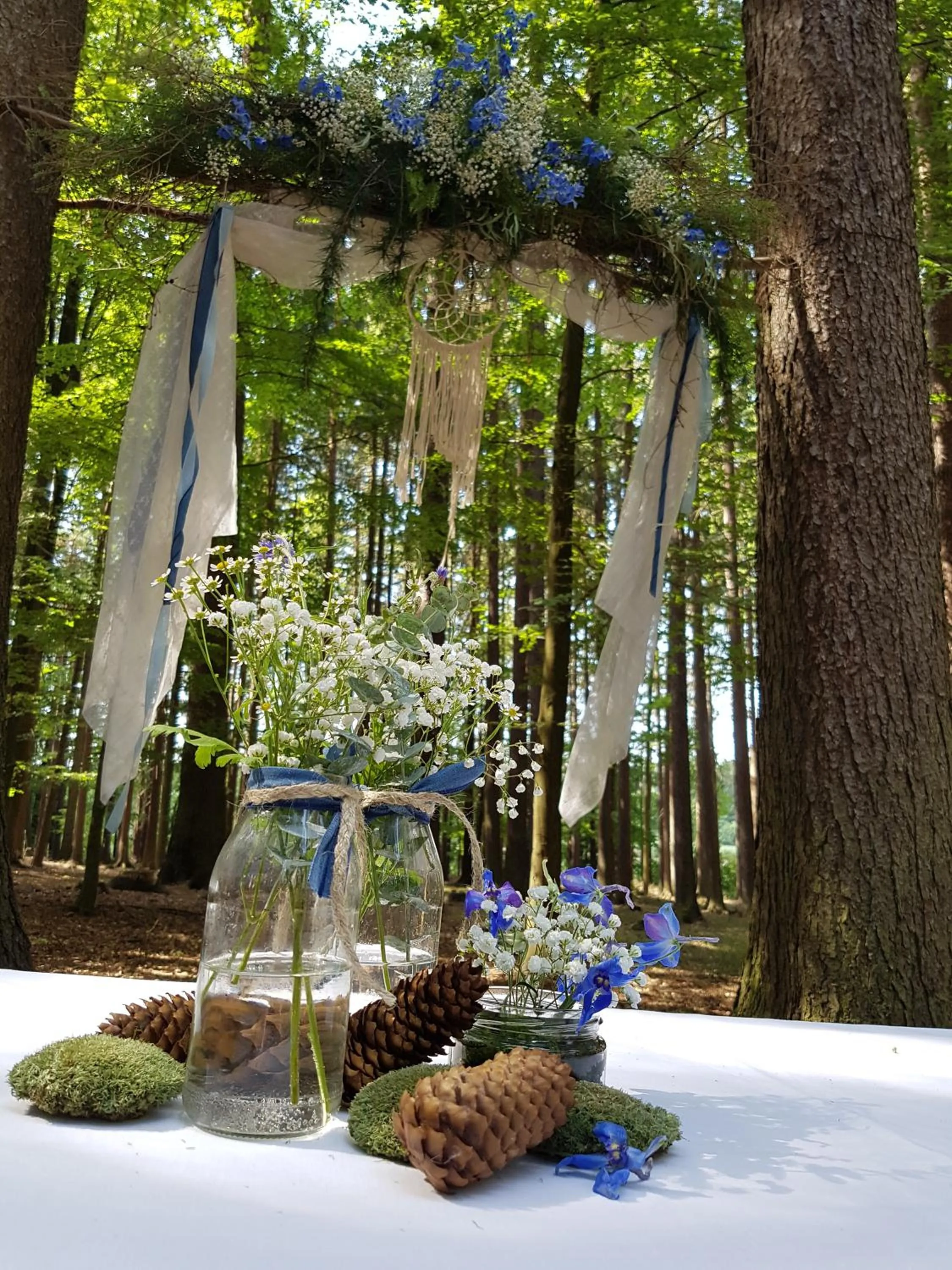 Neighbourhood in Hotel Chytrov