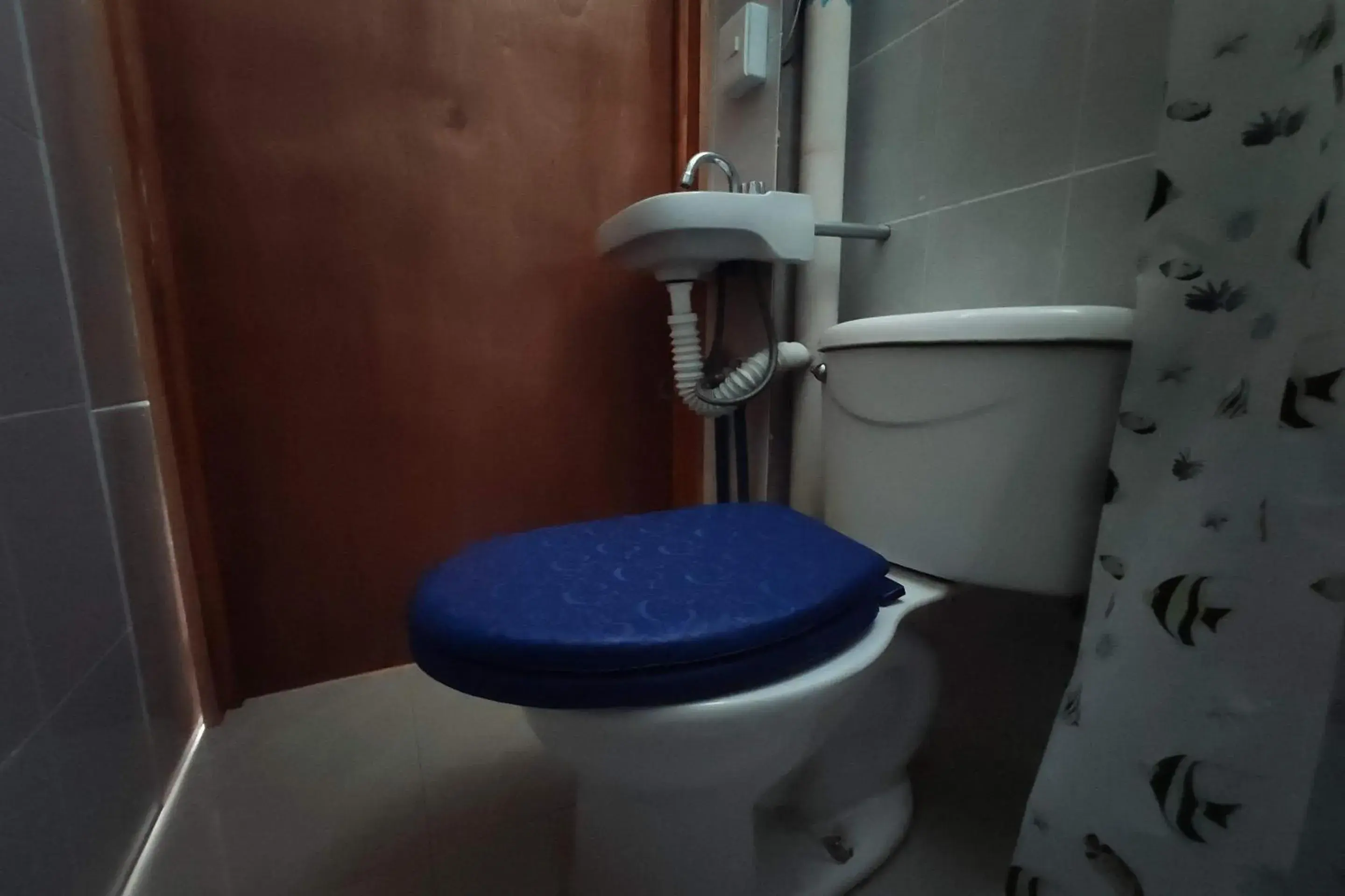 Bathroom in OYO Hotel Trigos De Oro,San Luis Teolocholco Park Bathroom in OYO Hotel Trigos De Oro,San Luis Teolocholco Park