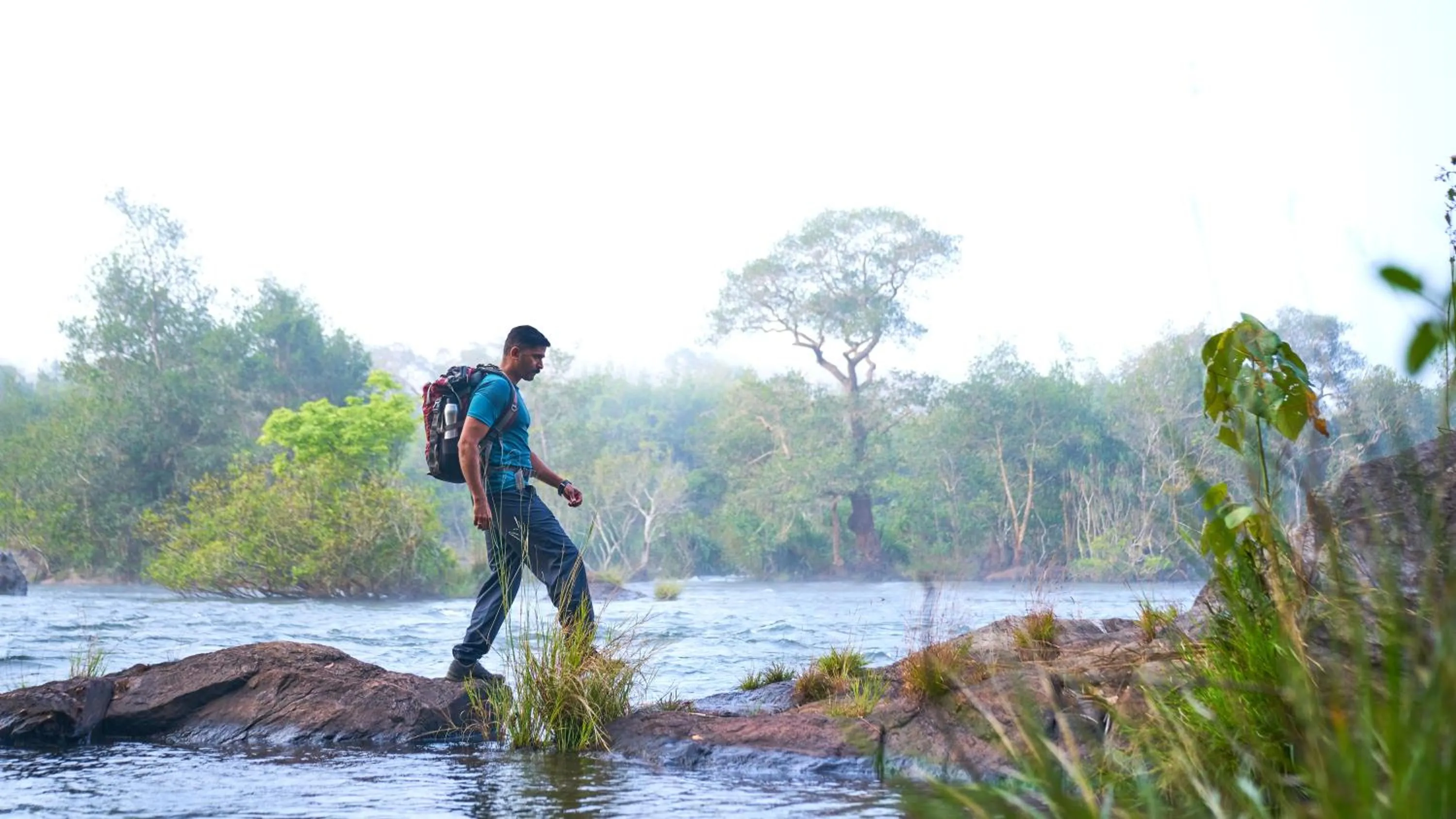 Natural landscape in Whistling Woodzs Resort