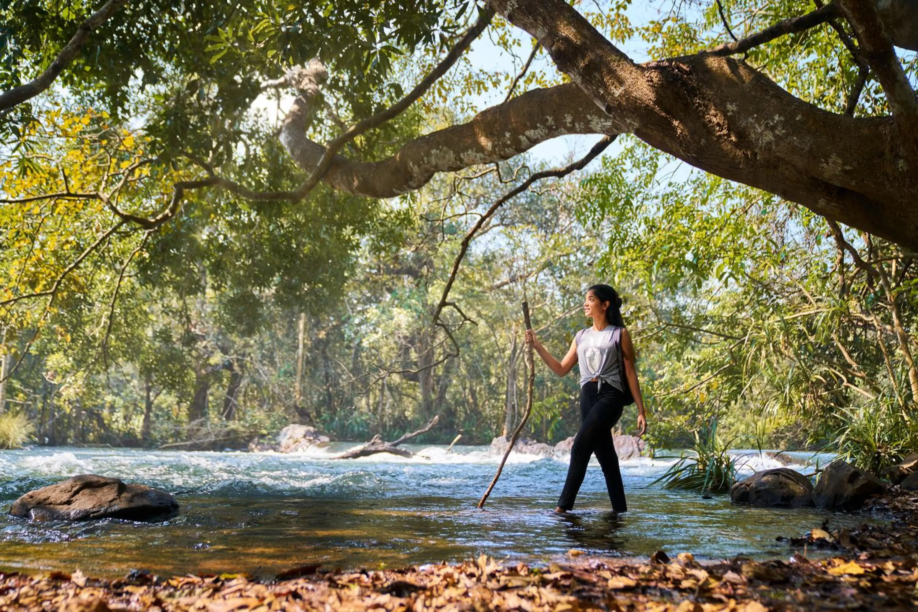 Nearby landmark in Whistling Woodzs Resort