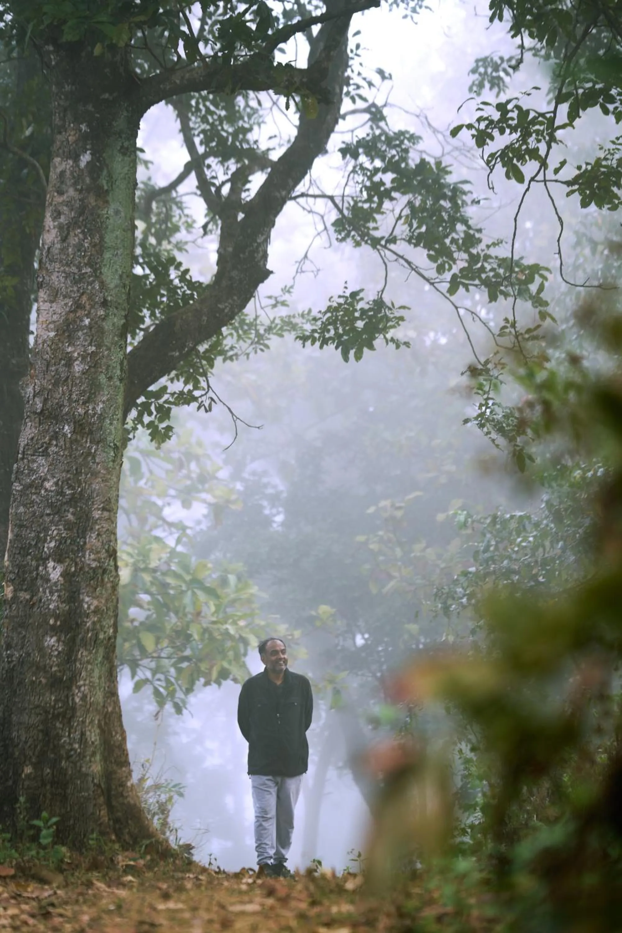 Natural landscape in Whistling Woodzs Resort