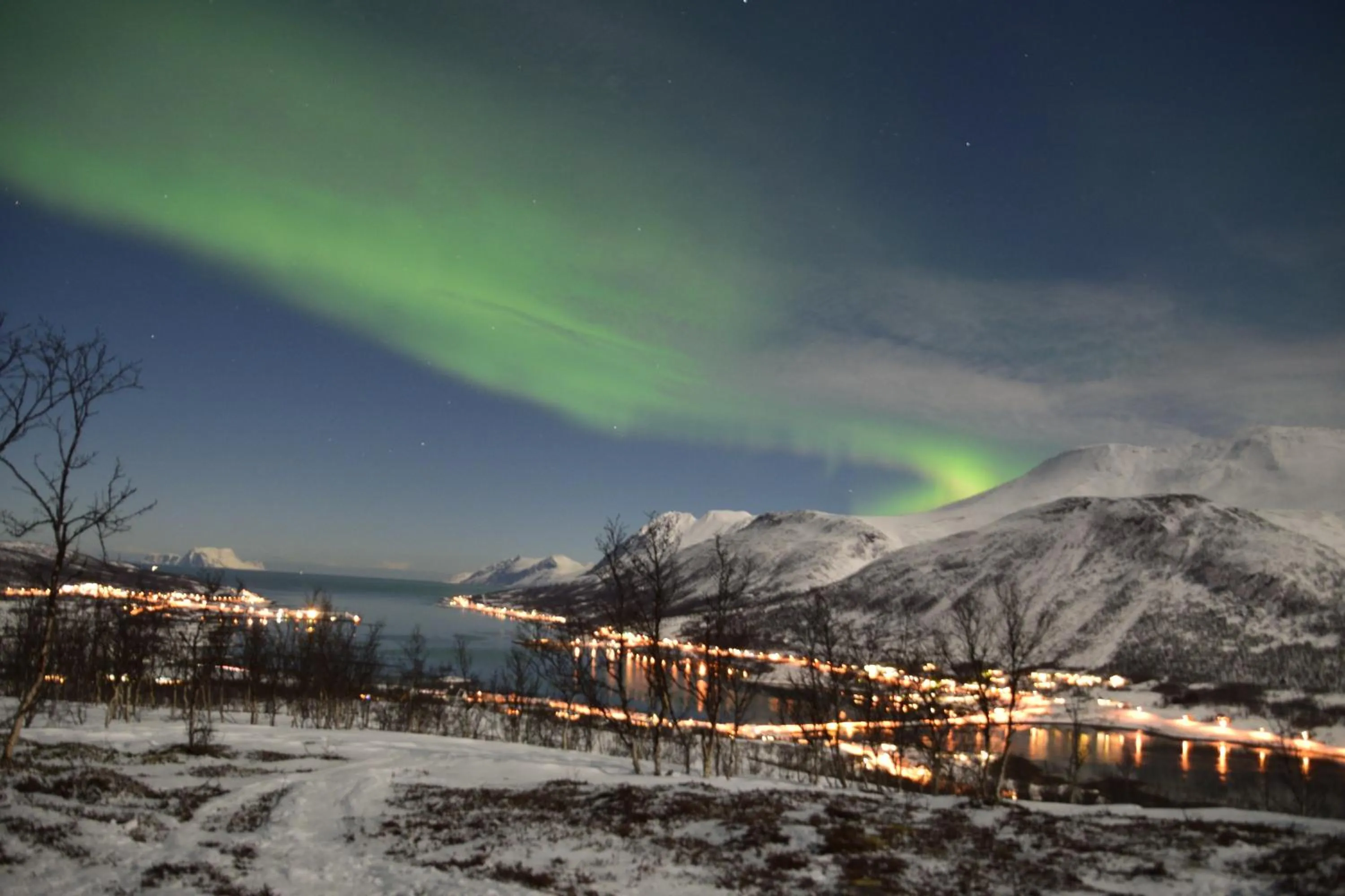 XLyngen