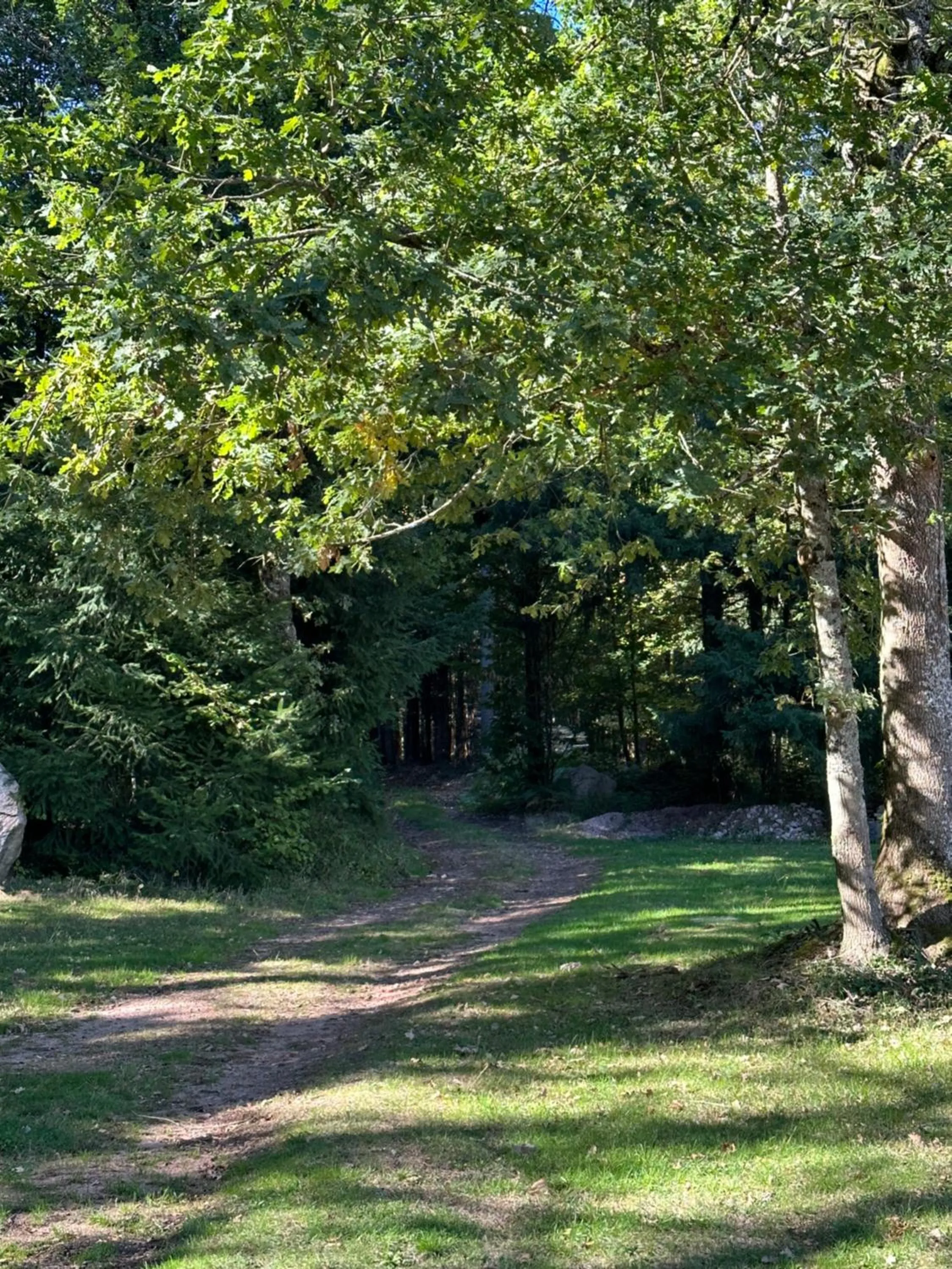 Du côté de chez Sam