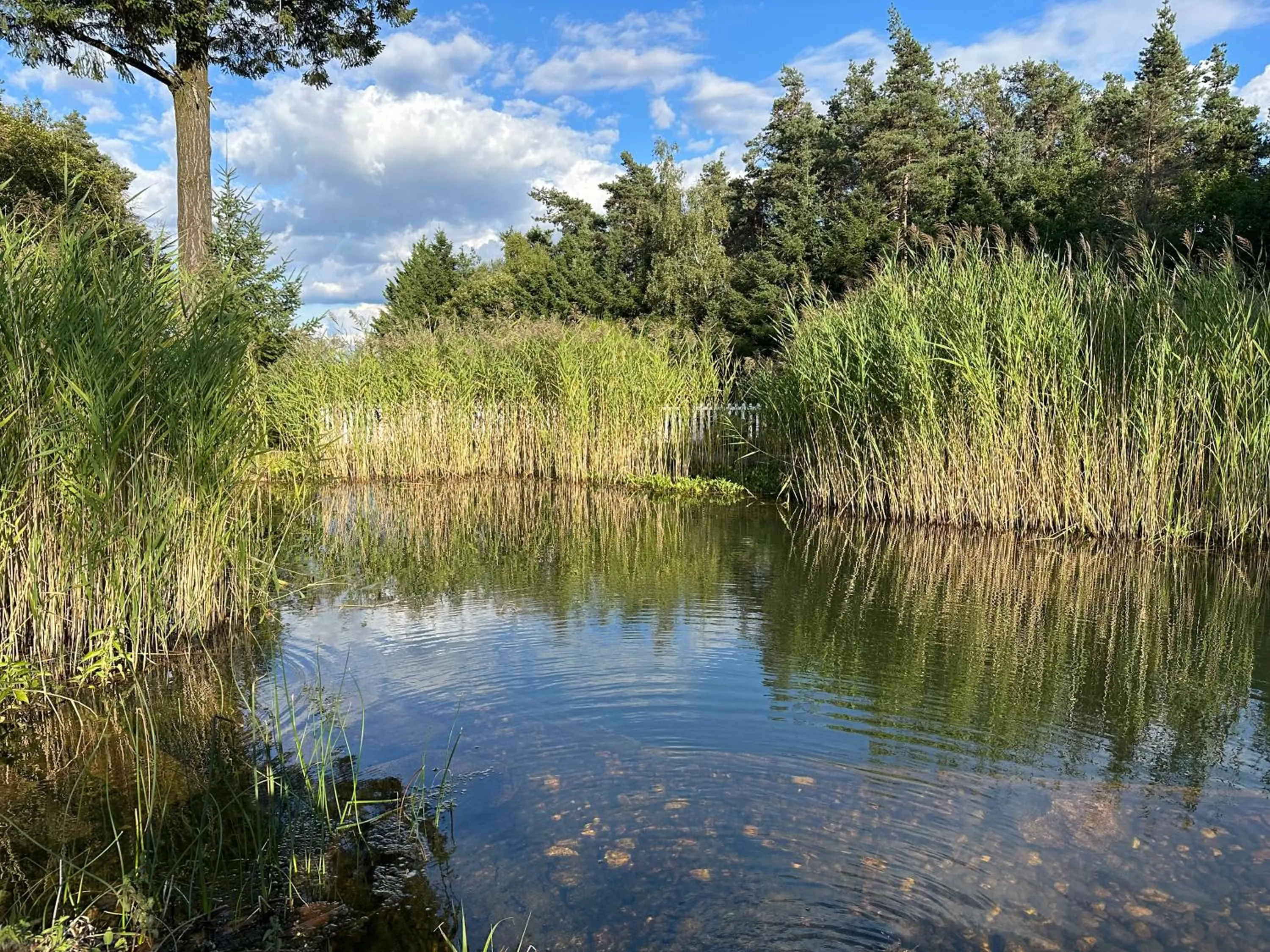Swimming pool in Du côté de chez Sam